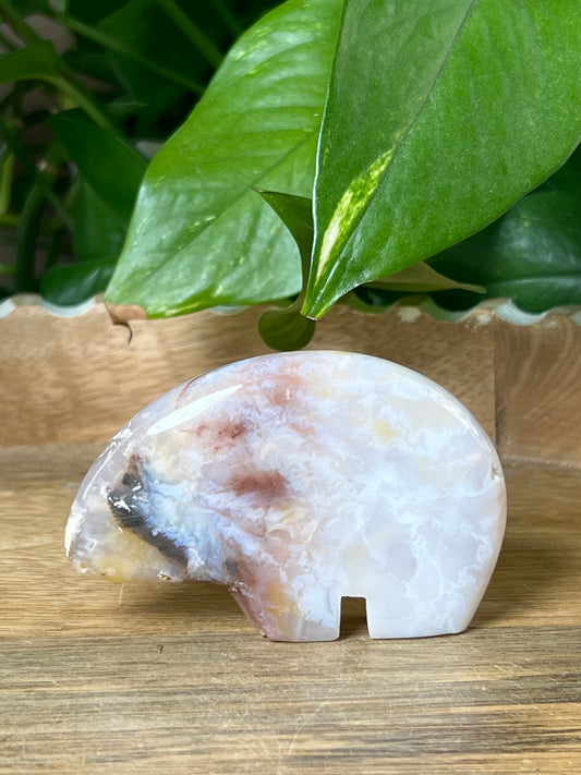 Rainbow Plume Agate Bear