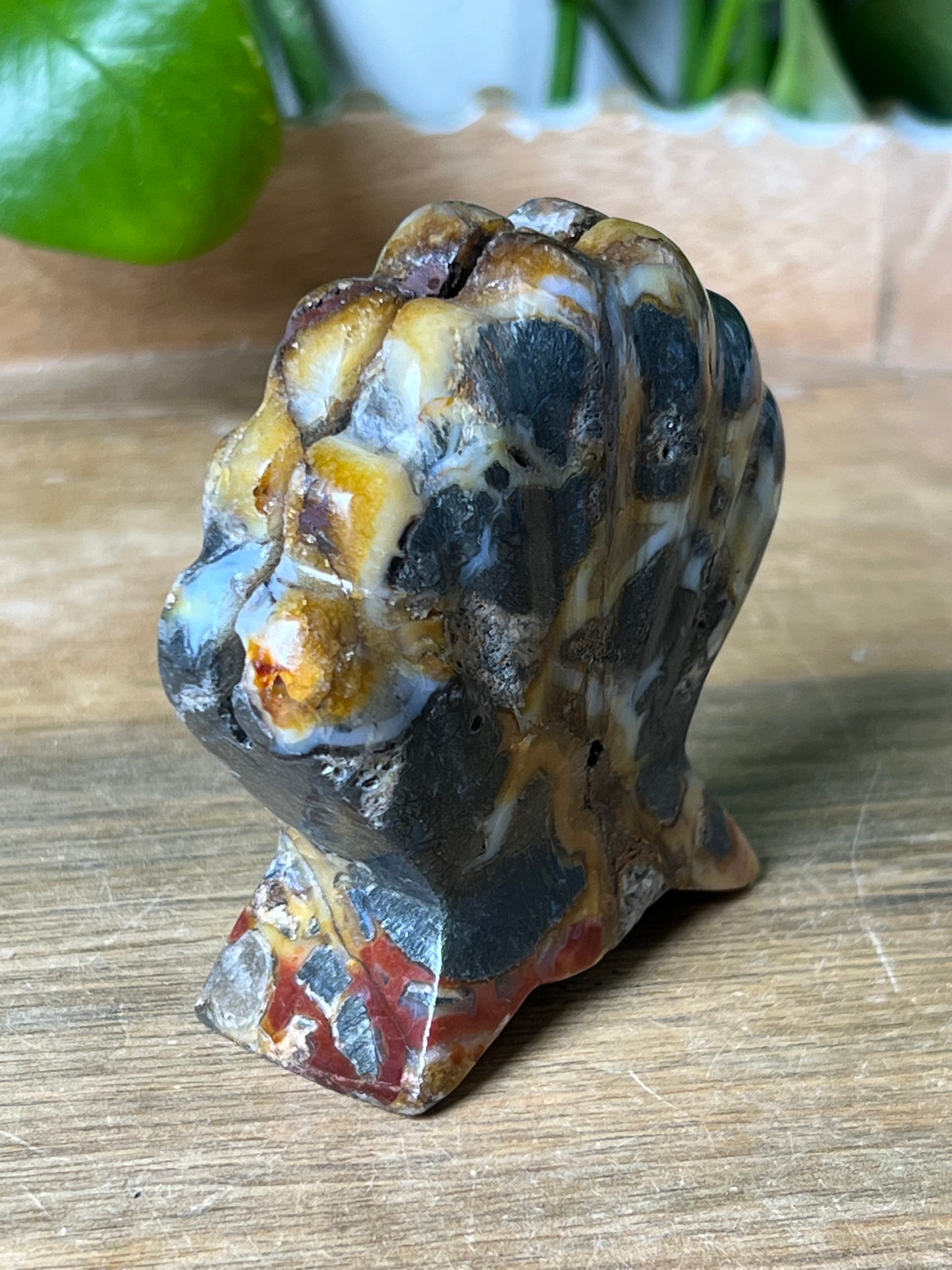 Marcasite Shell
