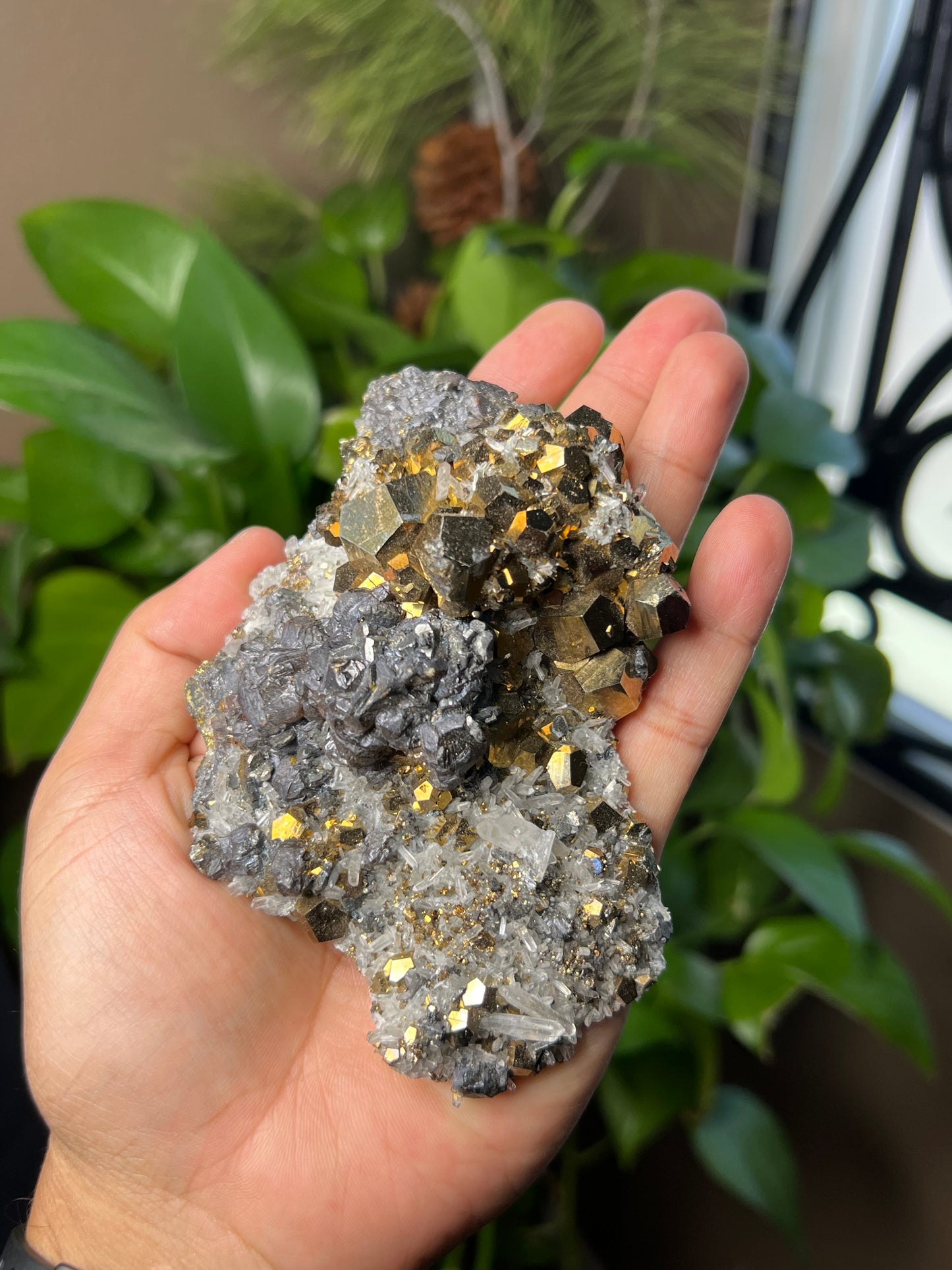 Rainbow Pyrite Quartz