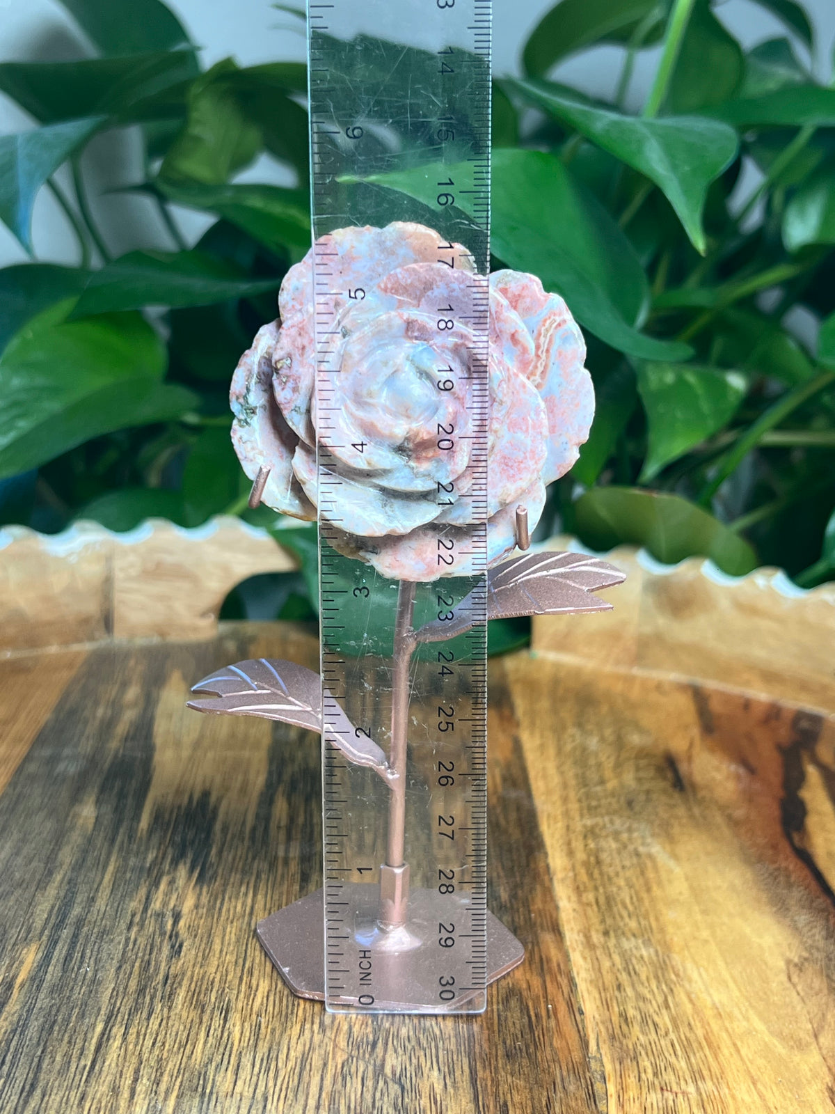 Pink River Jasper Rose: AB