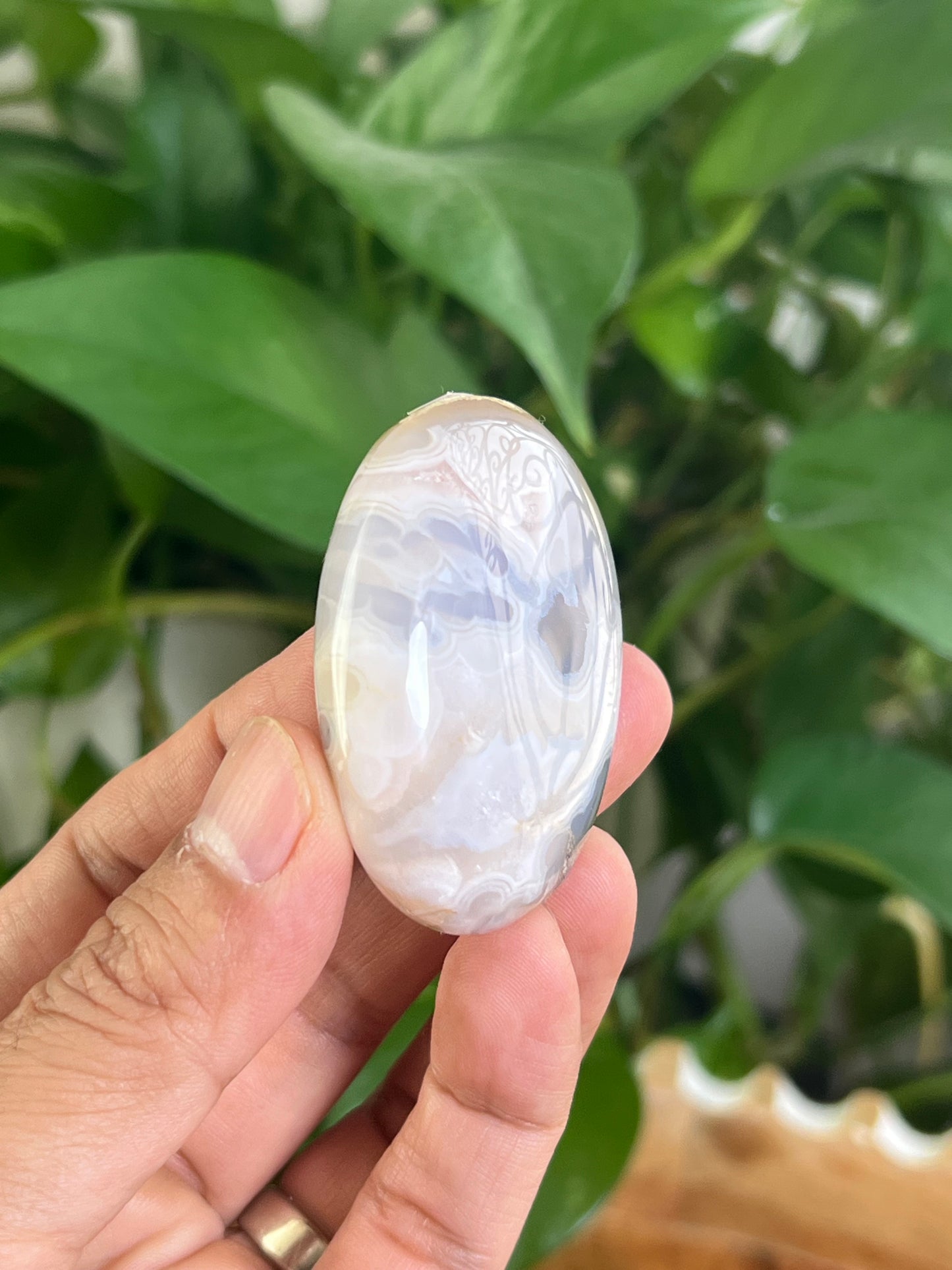 Scenic Moss Agate Palmstone: DC