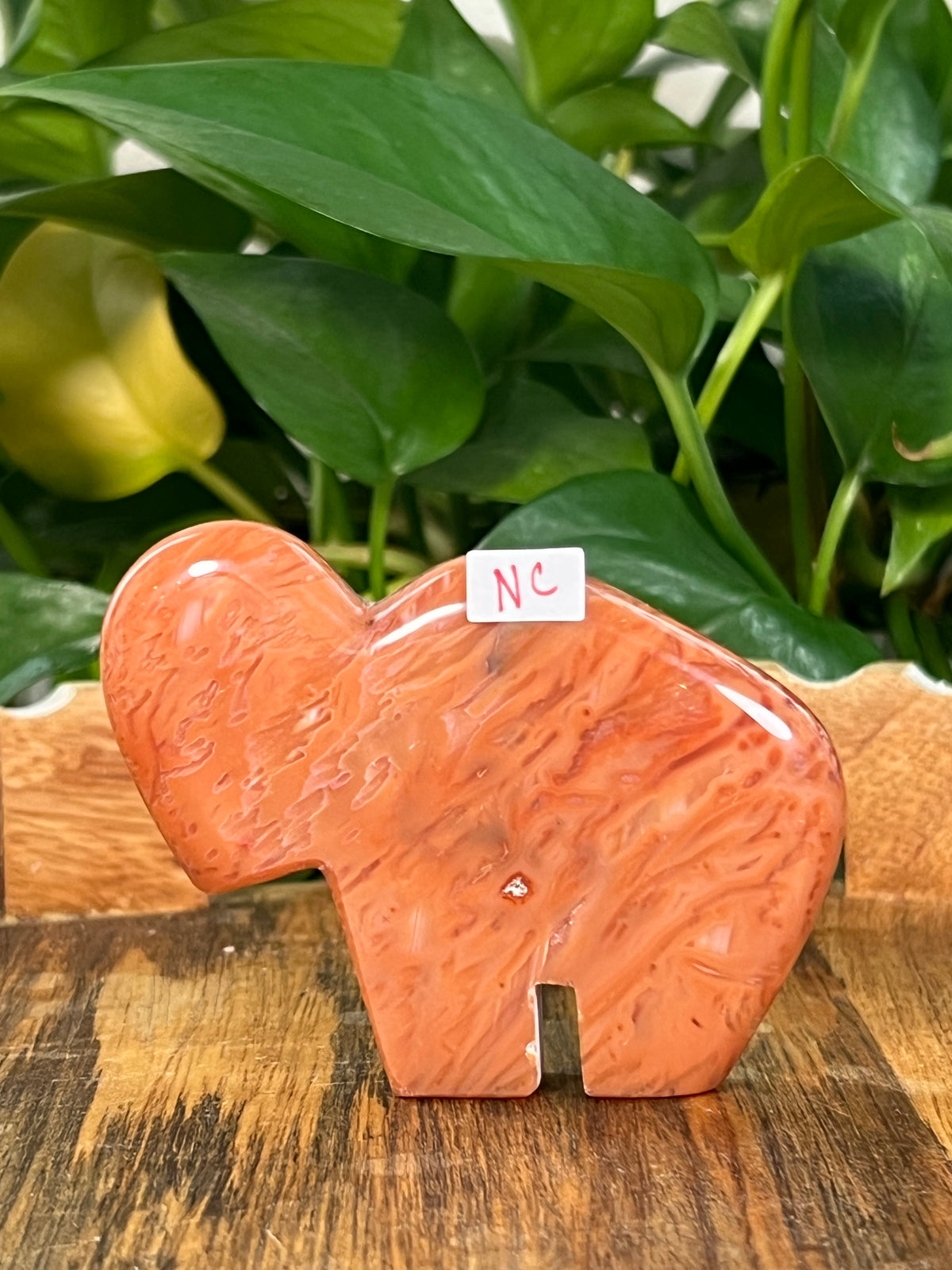 Red Carnelian Buffalos