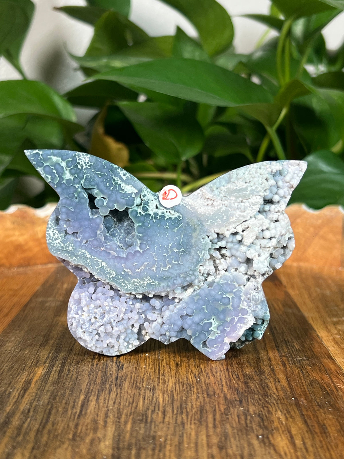 Grape Agate Butterflies