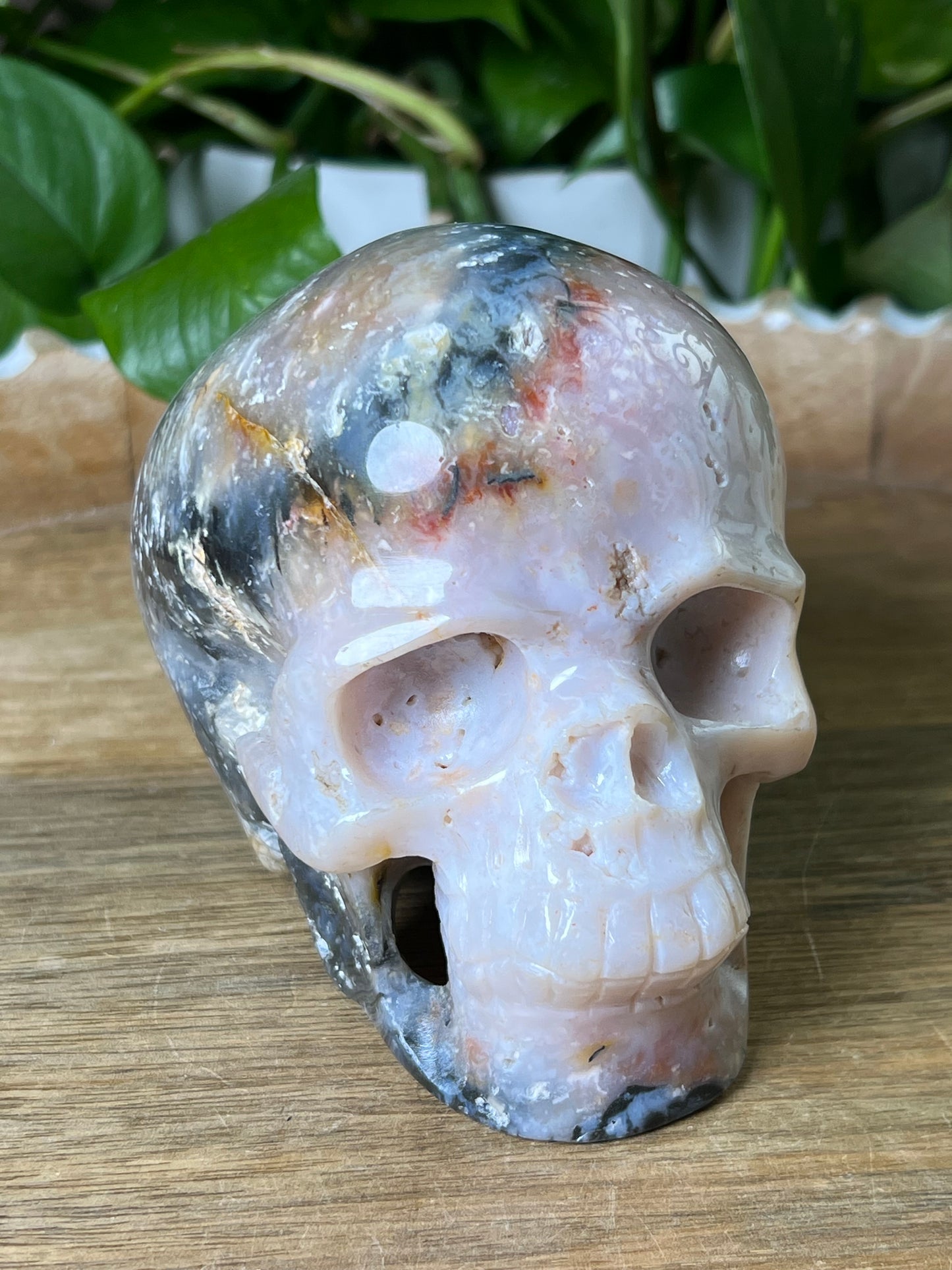 Rainbow Plume Agate Skull