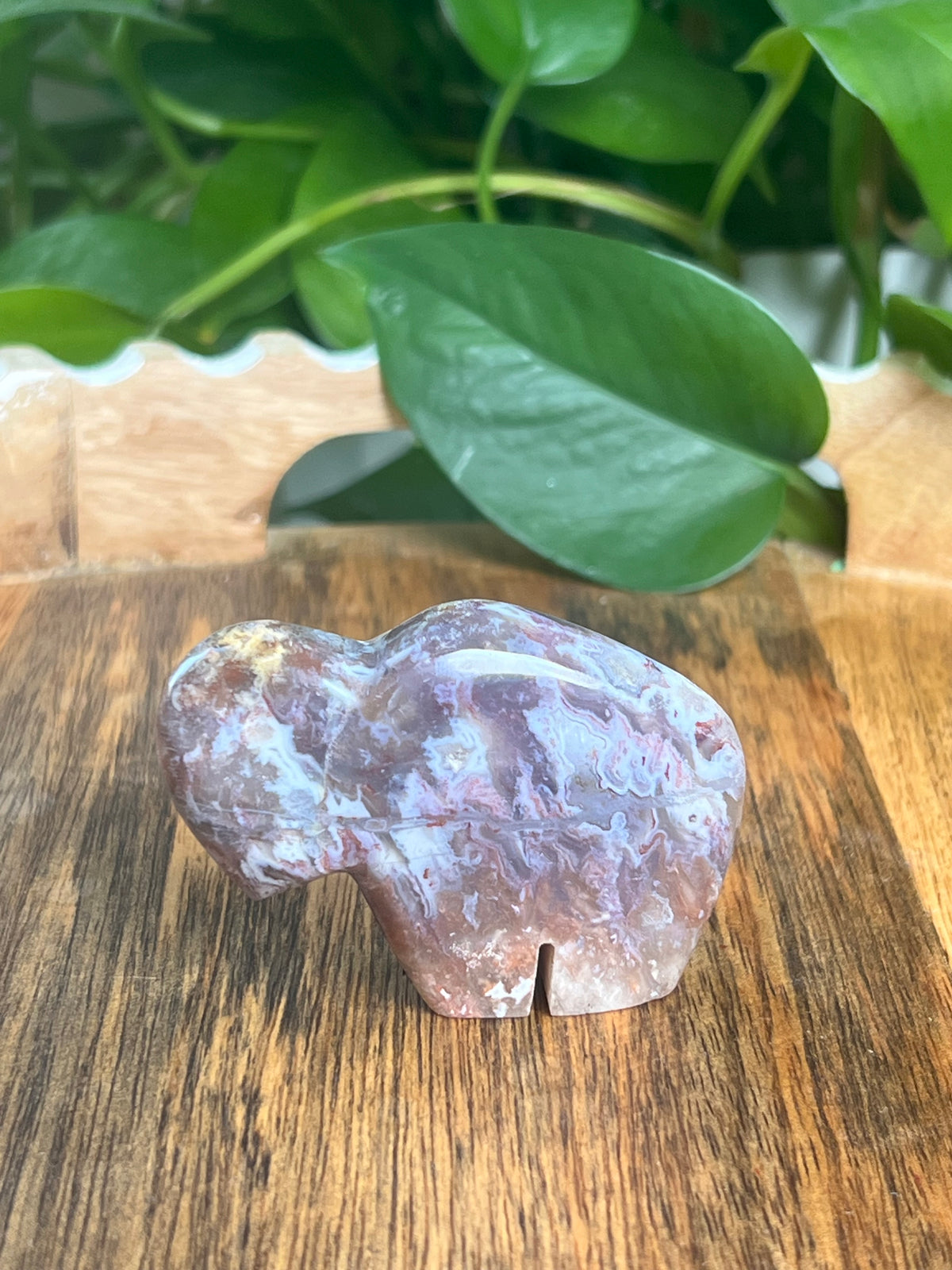 Sumatra Plume Agate Mini Buffalo: DE