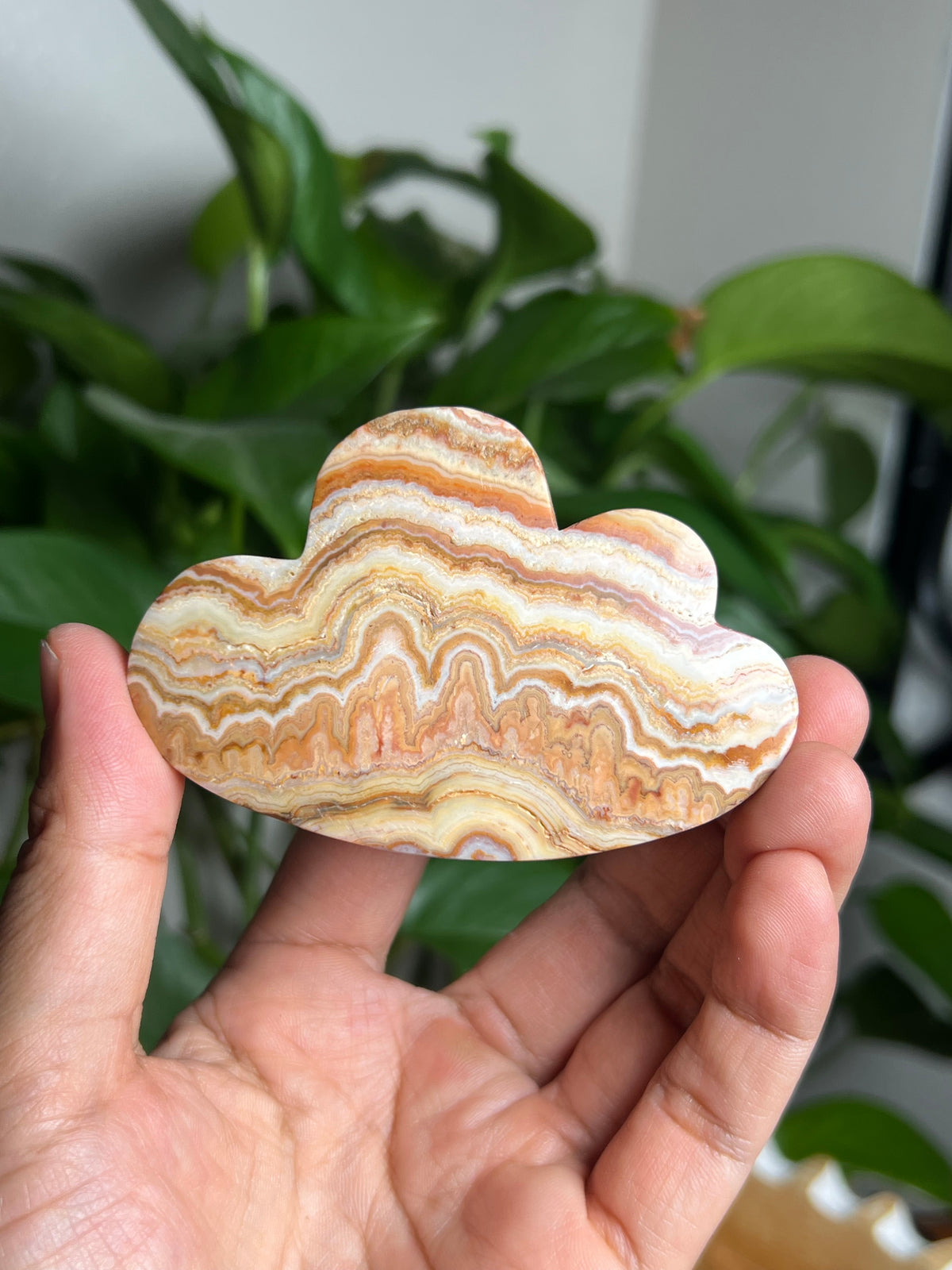 Crazy Lace Agate Cloud: NX