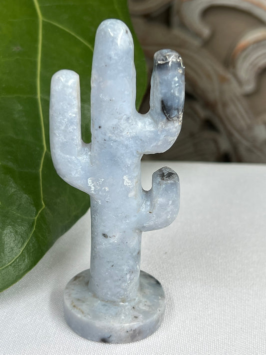 Blue Plume Agate Cactus