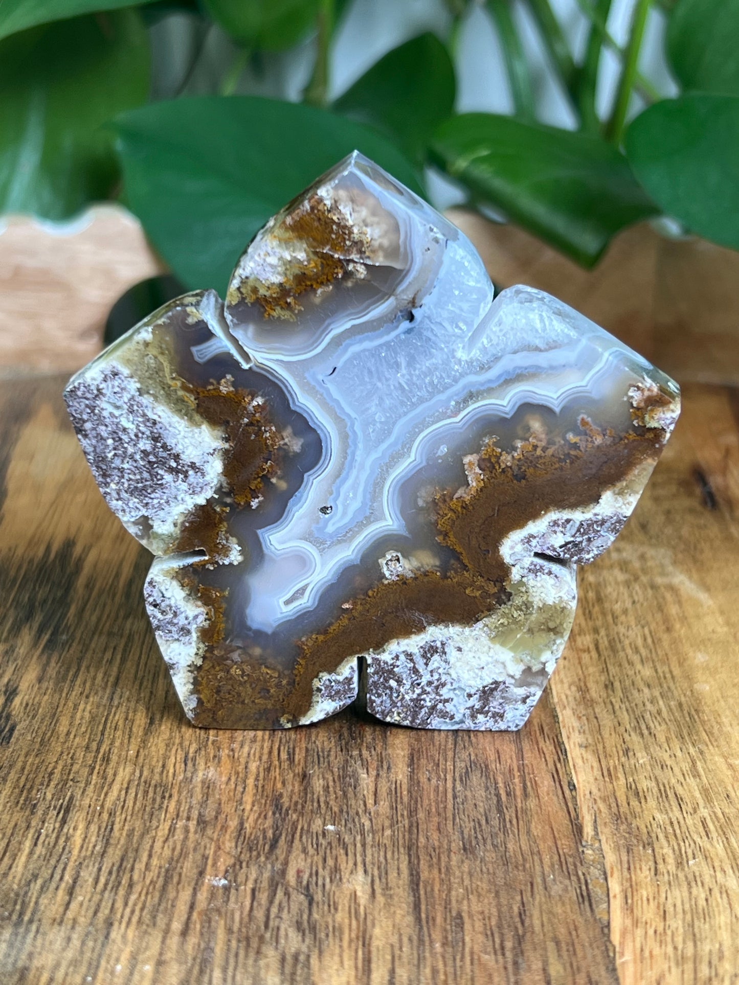 Scenic Moss Agate Flower KE