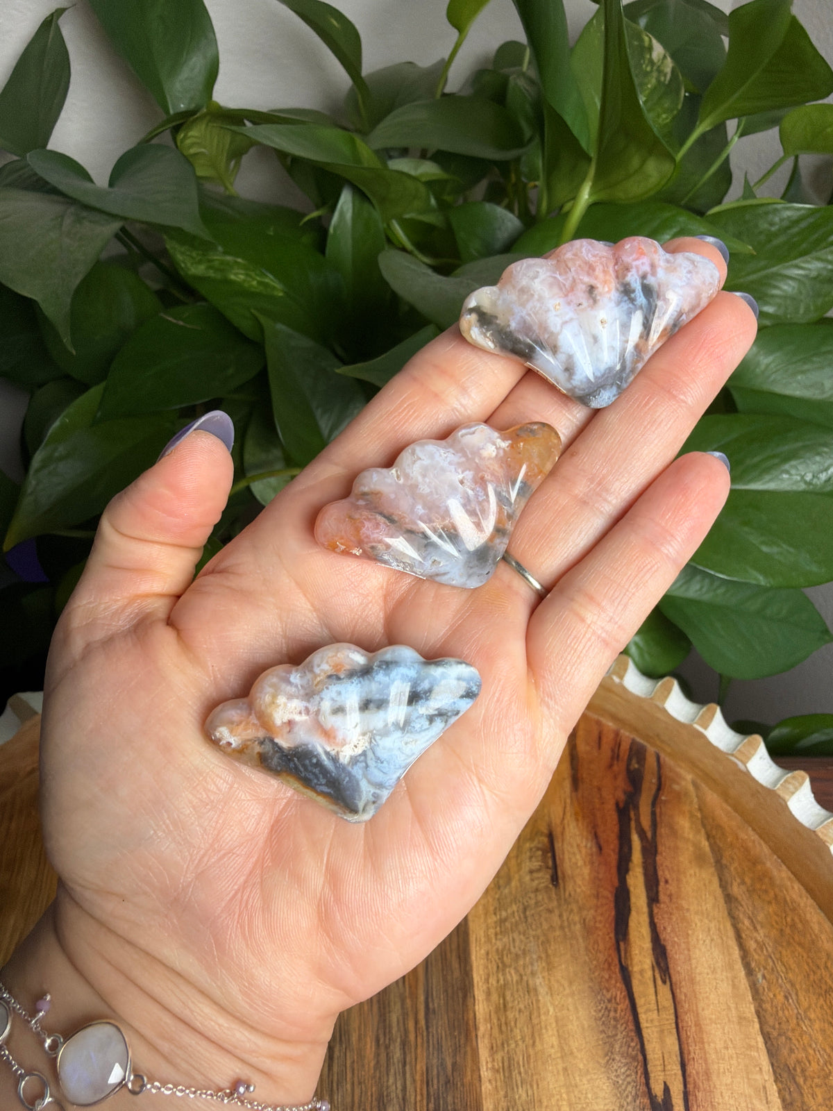 Rainbow Plume Agate Shells