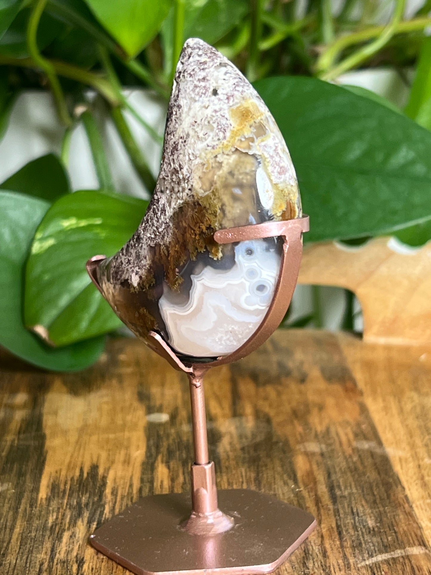 Scenic Moss Agate Moon: I