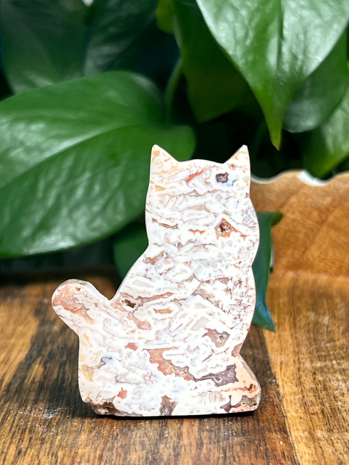 Tube Agate Mini Cats