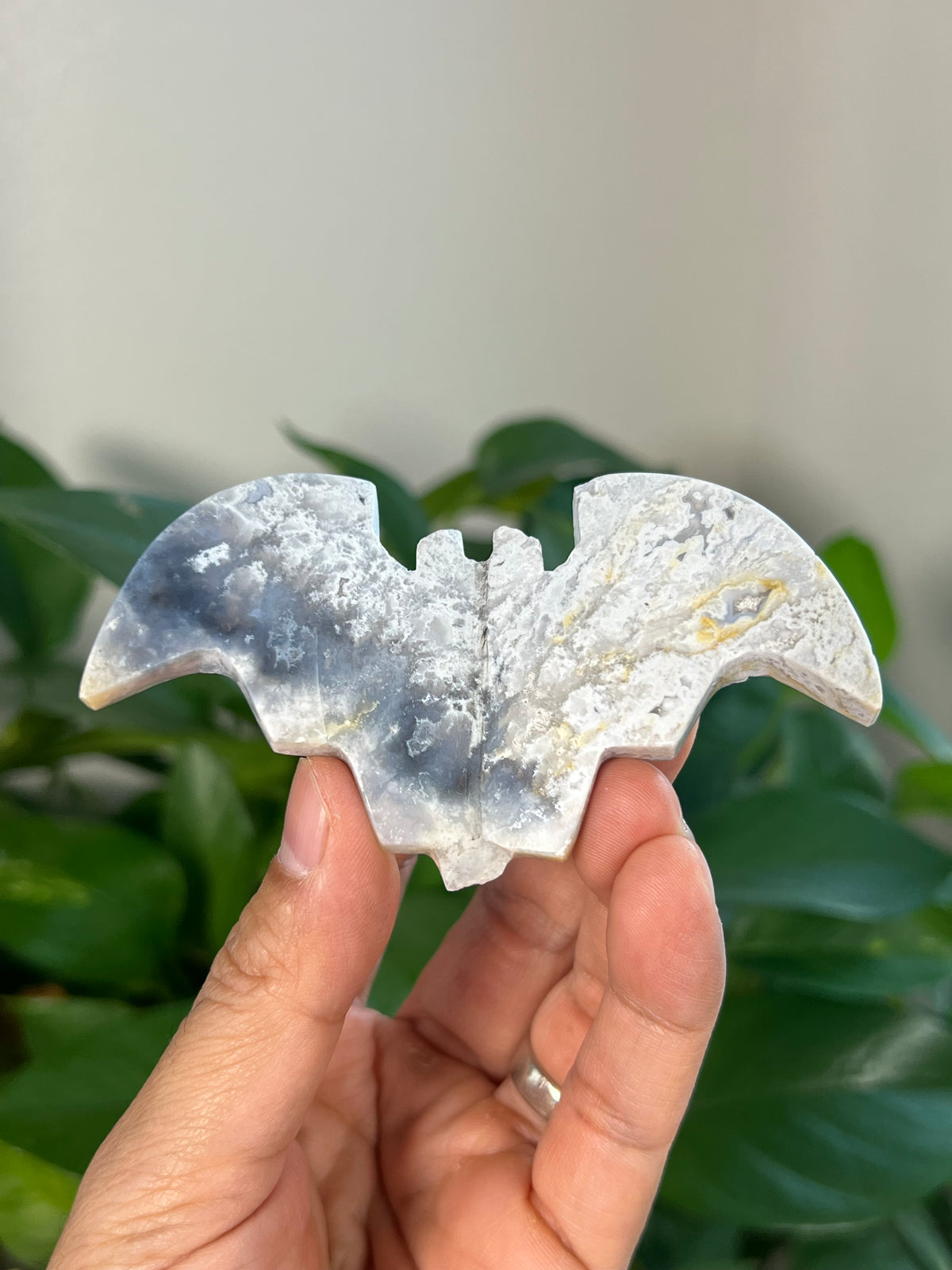 Blue Plume Agate 3D Bats