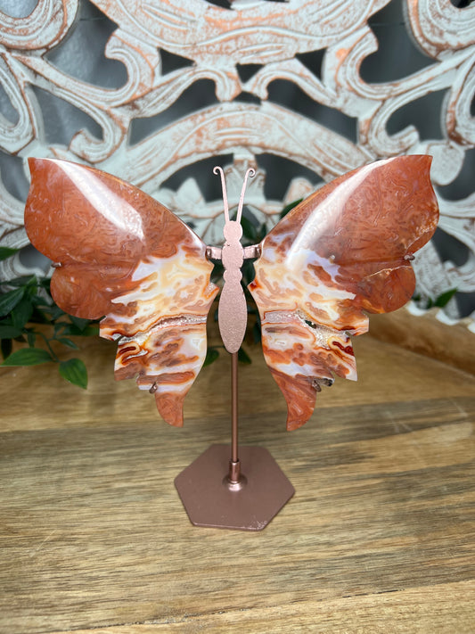 Carnelian Wings