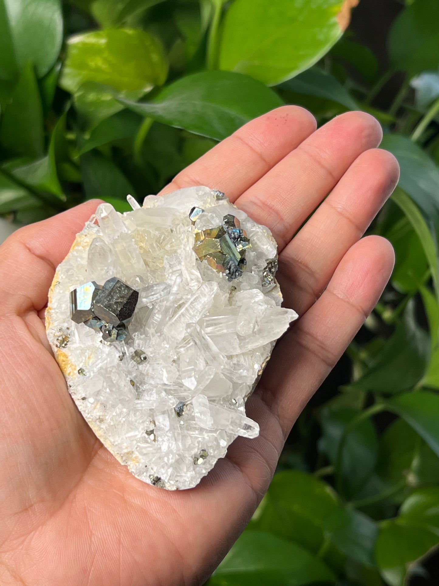 Rainbow Pyrite Quartz