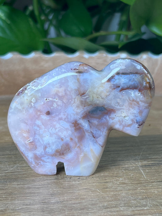 Rainbow Plume Agate Buffalo