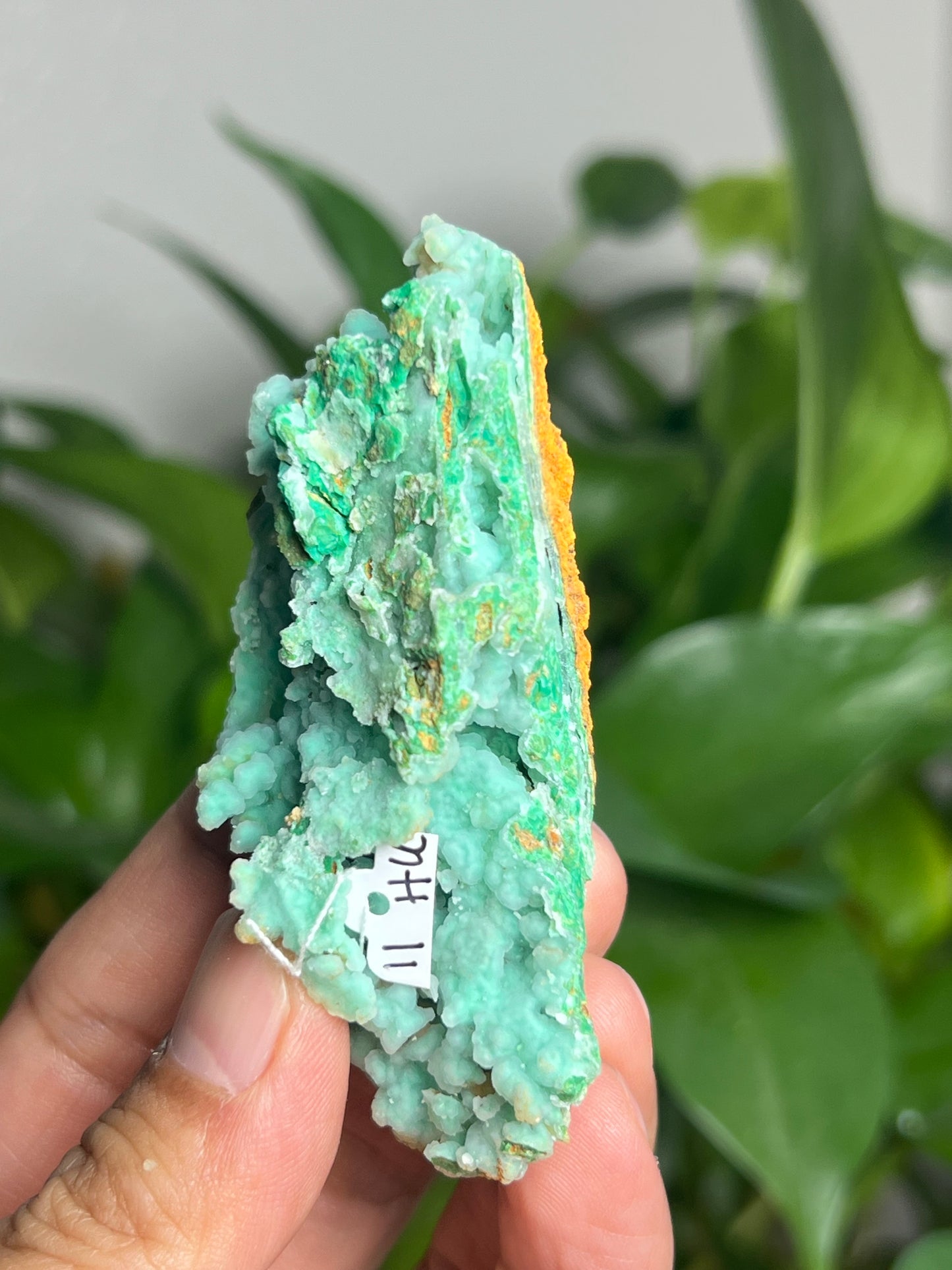 Smithsonite Specimen HU