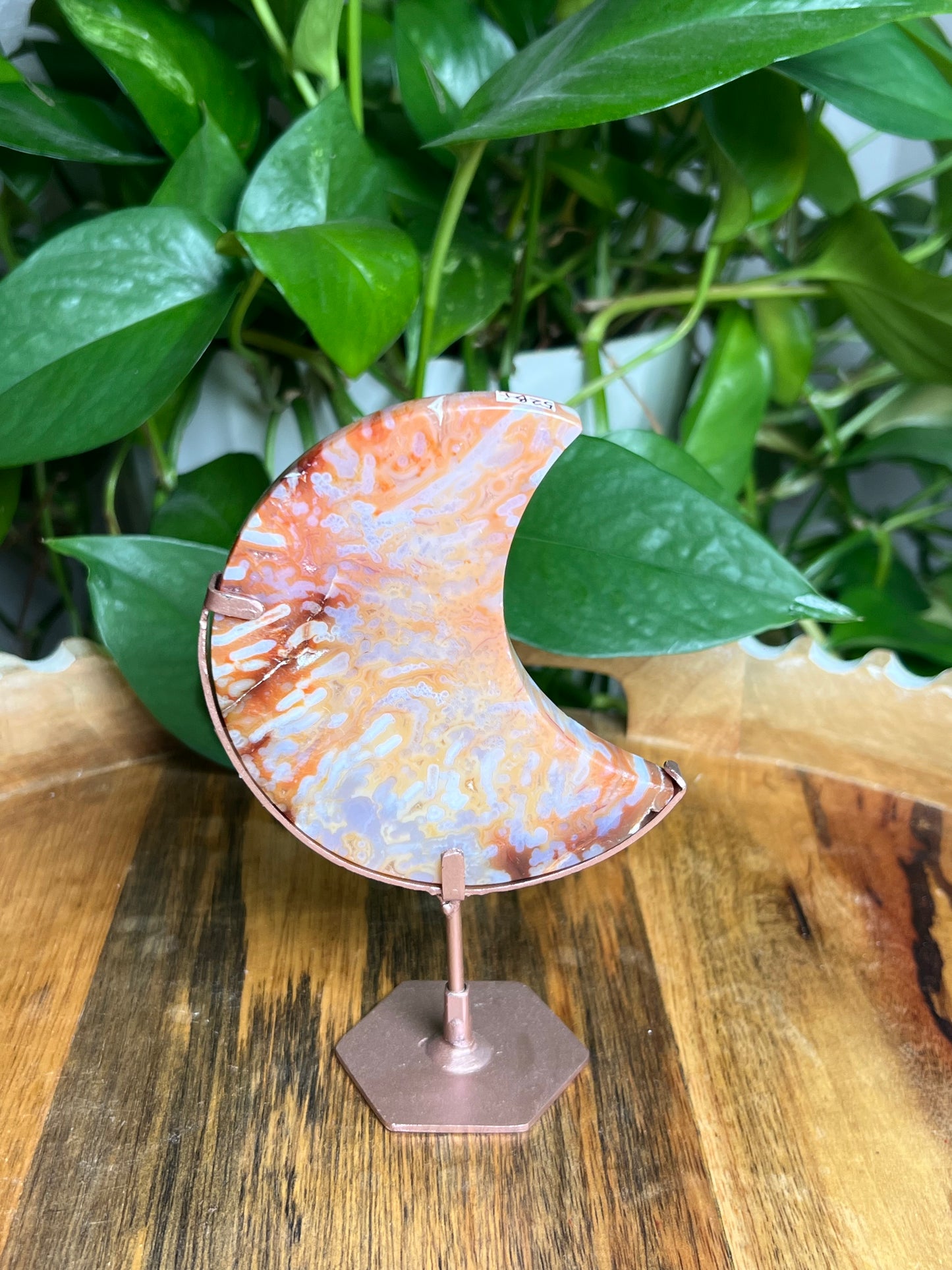 Carnelian Moon: Bi
