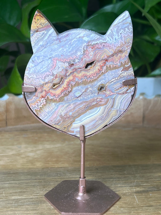 Crazy Lace Agate Cat
