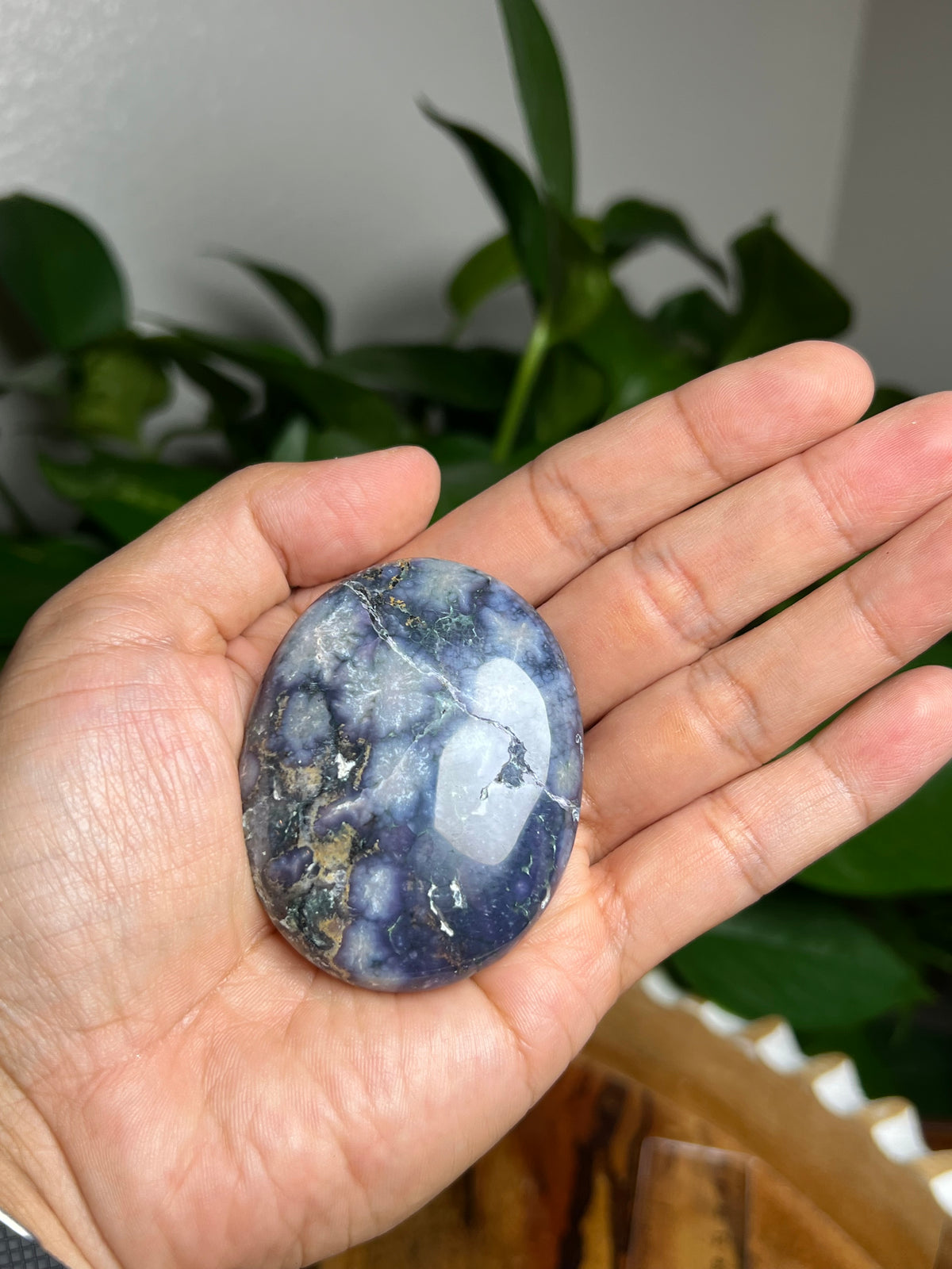 Grape Agate Palmstone: PW