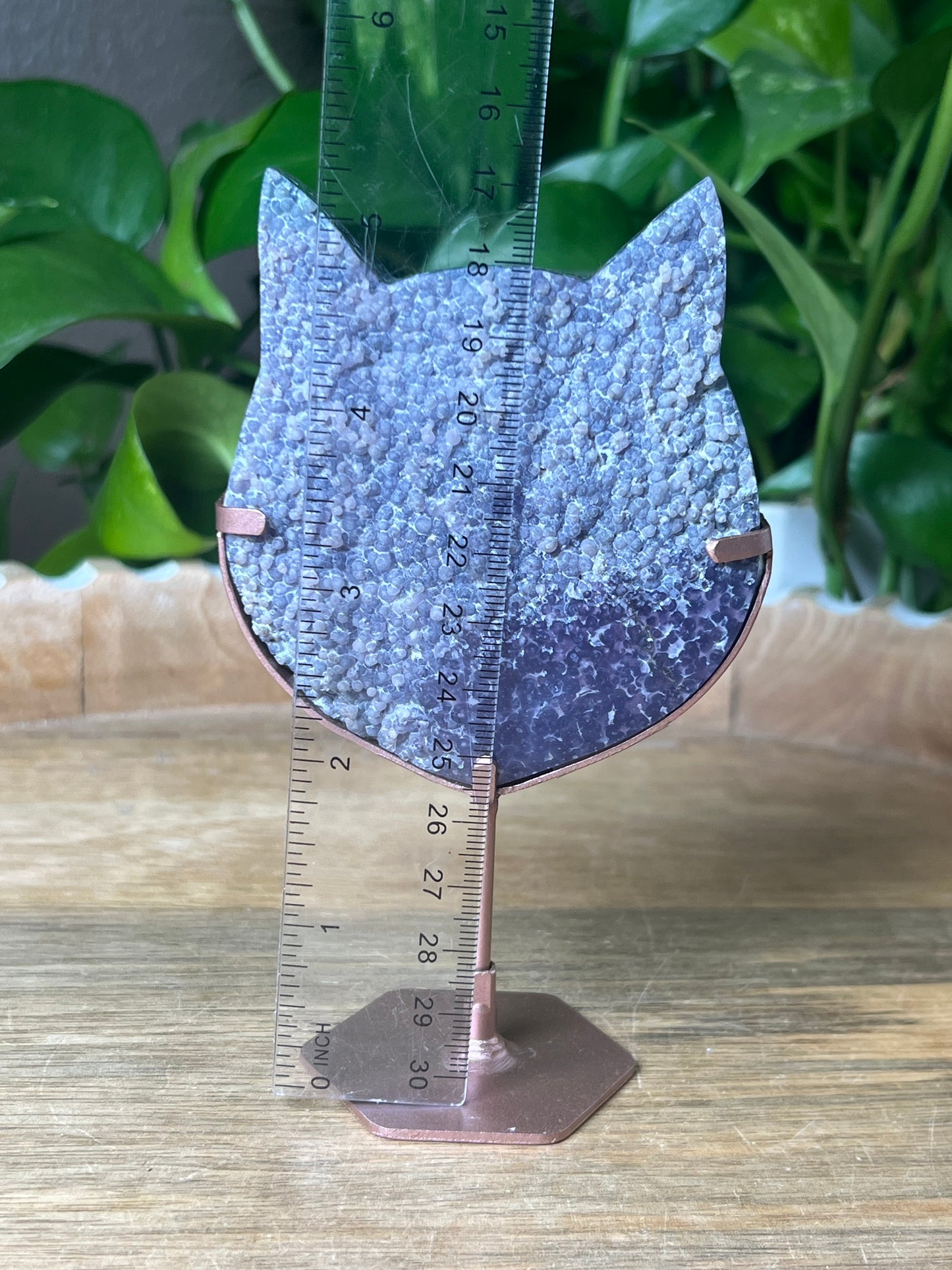 Grape Agate Cat