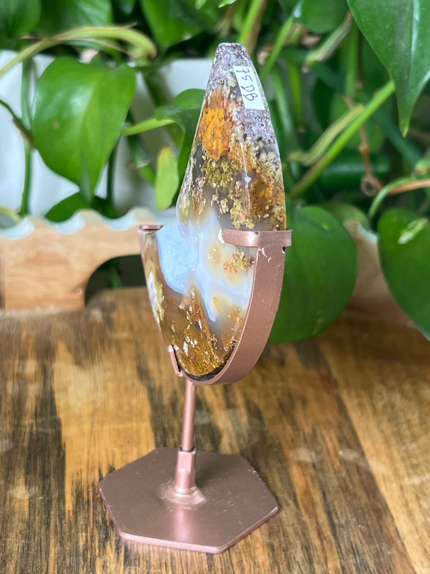 Scenic Moss Agate Moon