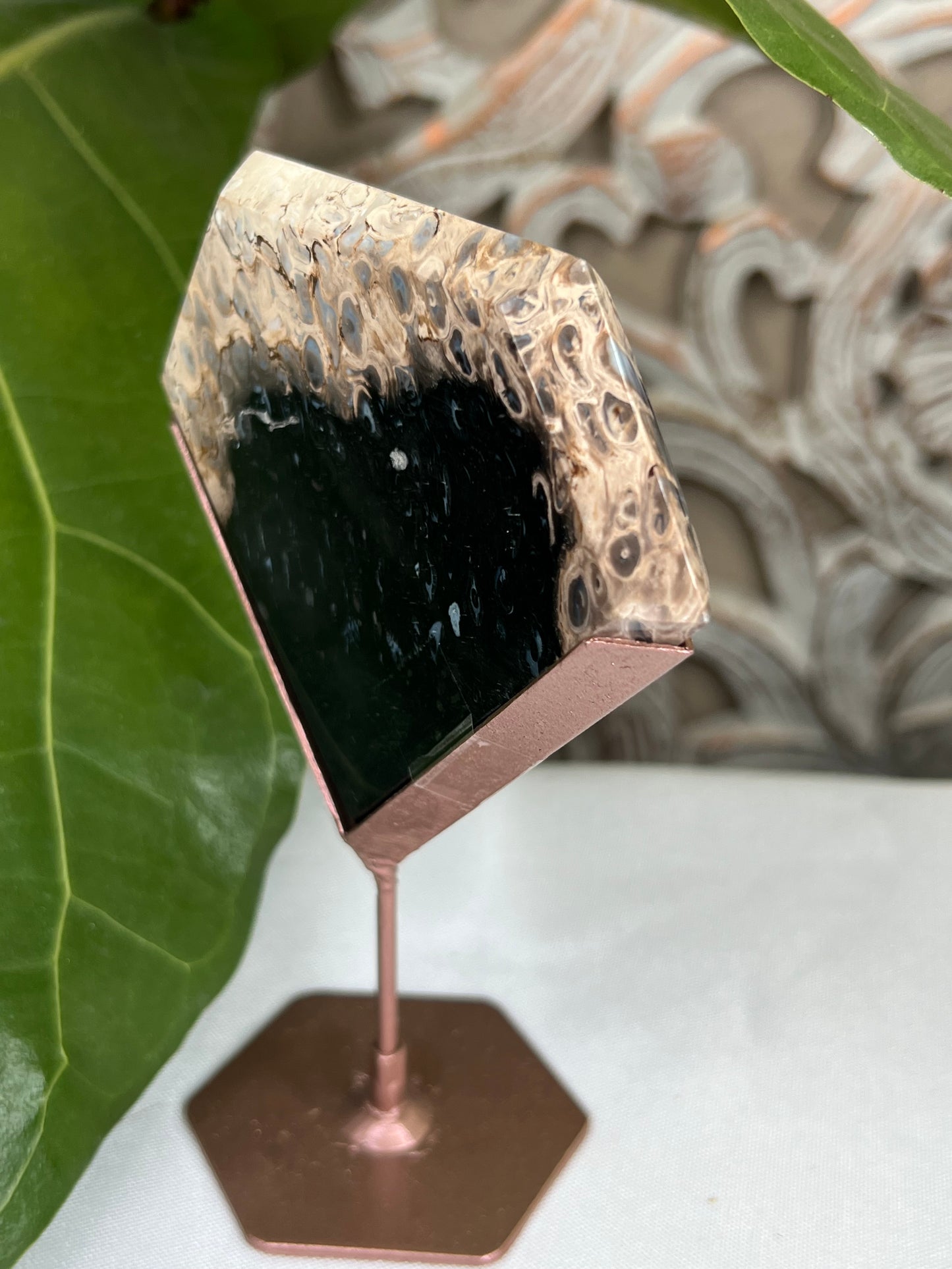 Palm Root Diamond