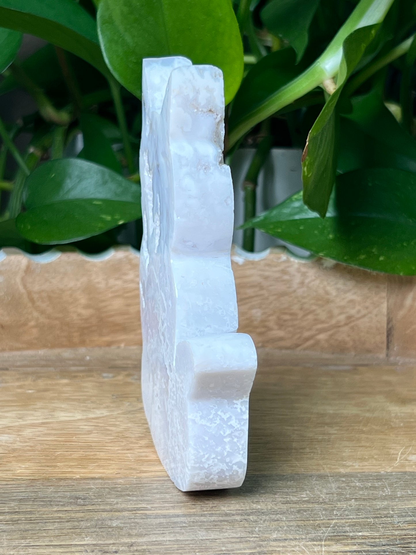 White Plume Agate Cat