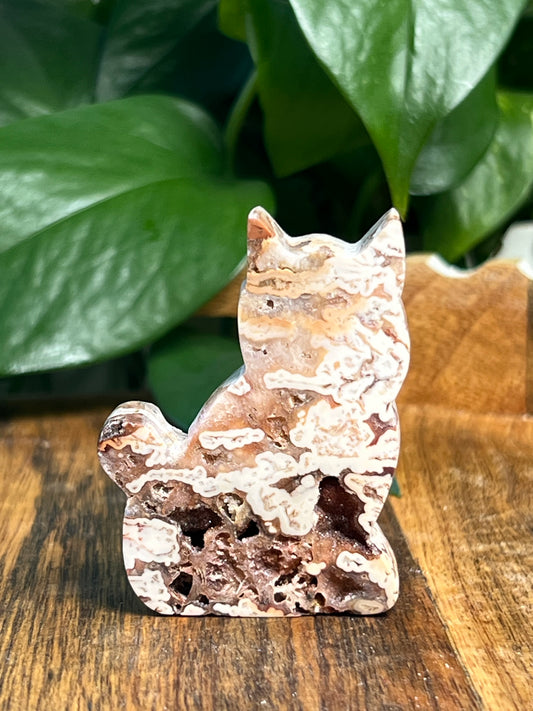 Tube Agate Mini Cats