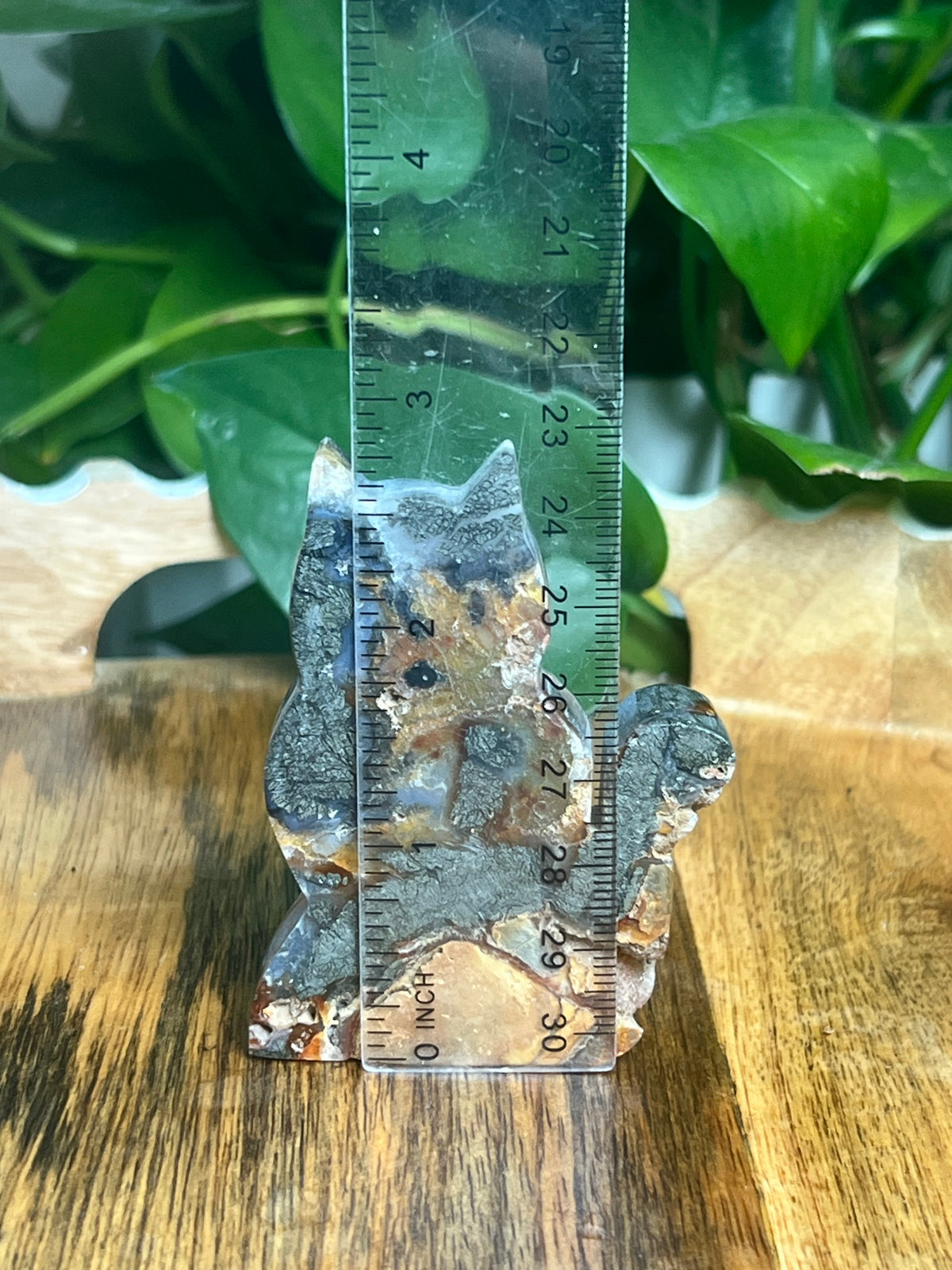 Marcasite Cat: DF