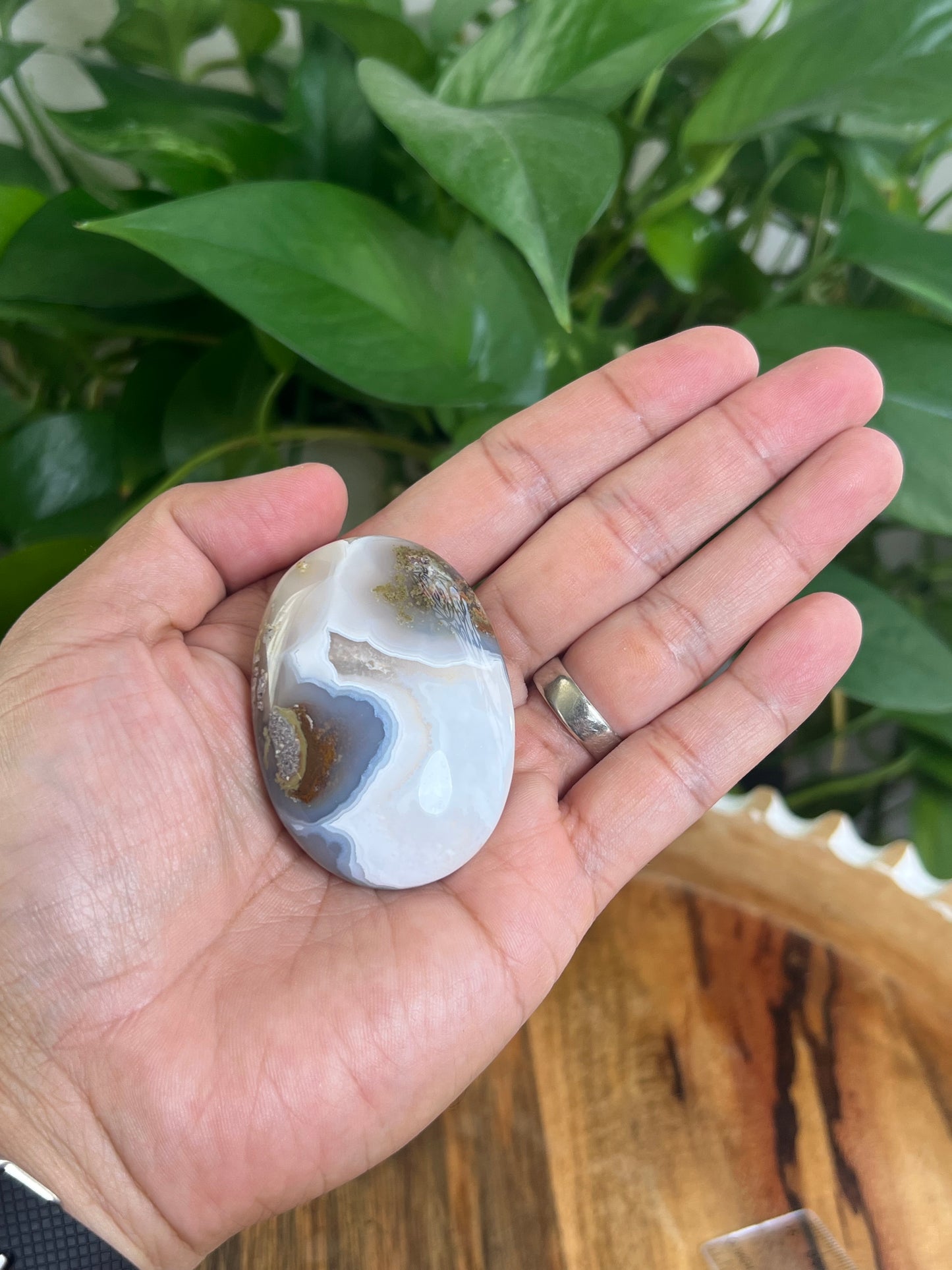 Scenic Moss Agate Palmstone: CA