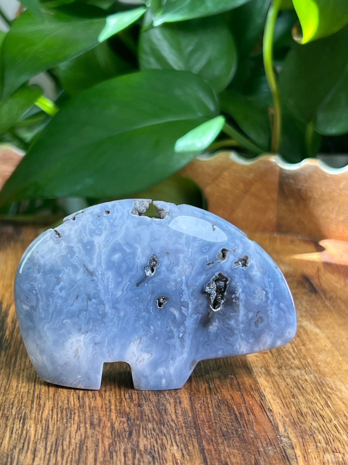 Blue Plume Agate Bear: DK