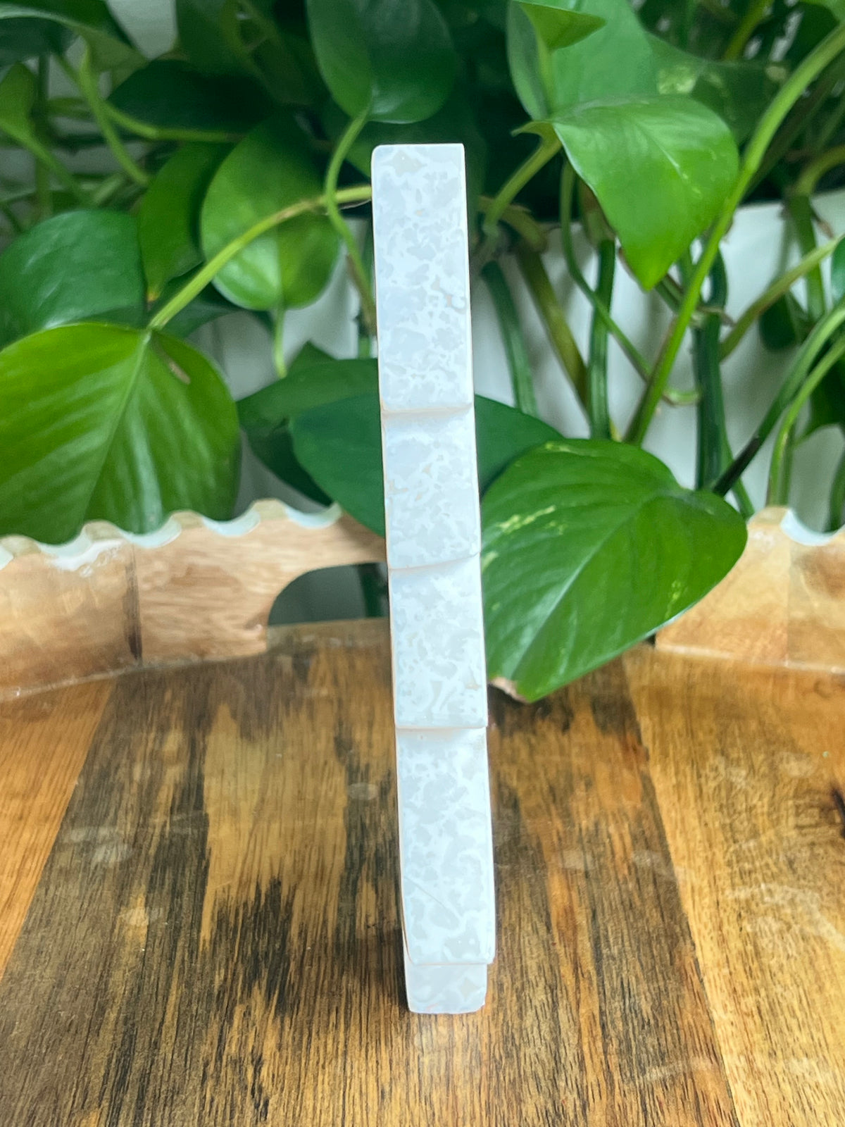 White Plume Agate Tree: PS
