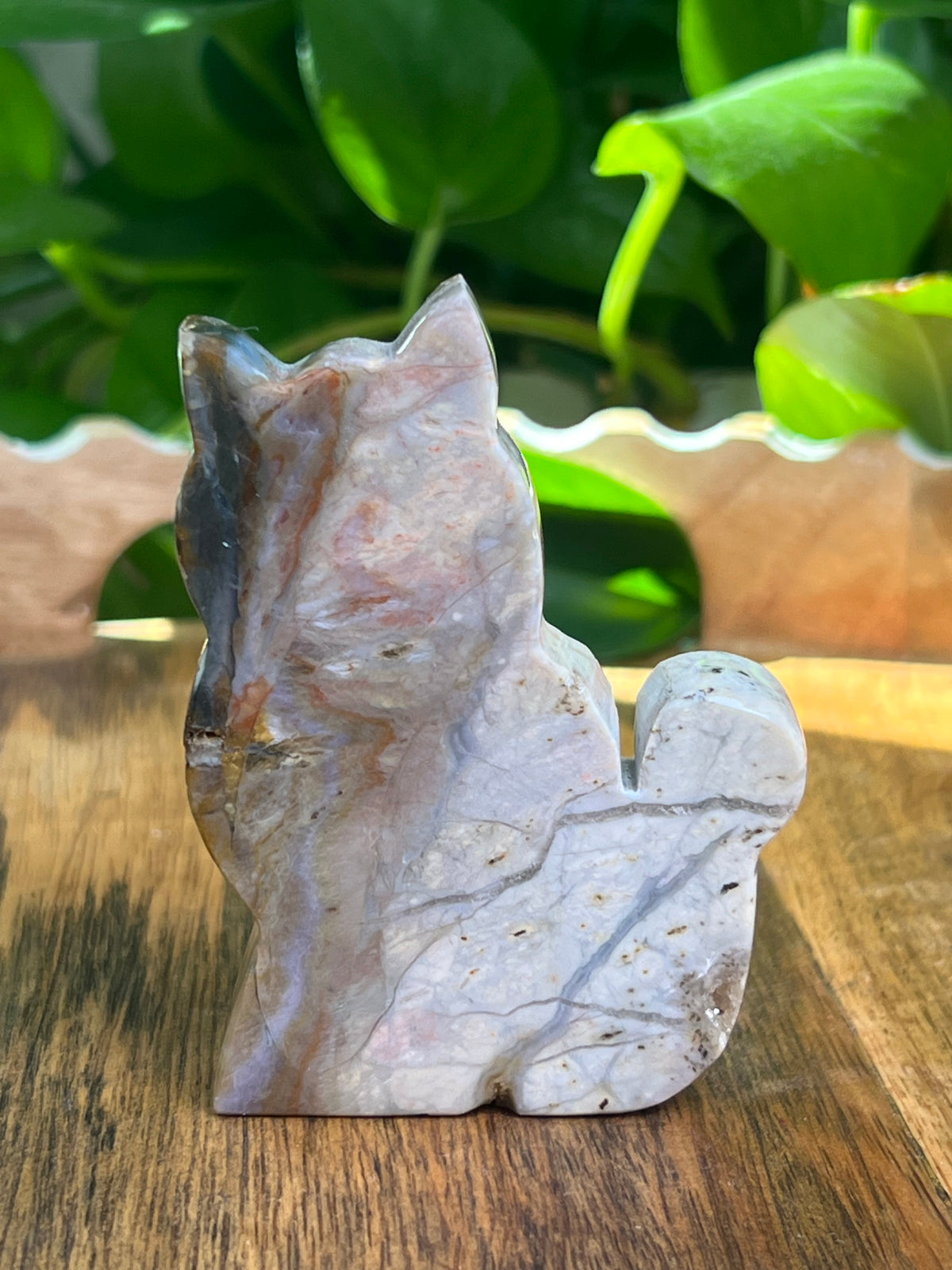 River Jasper Cat: PF