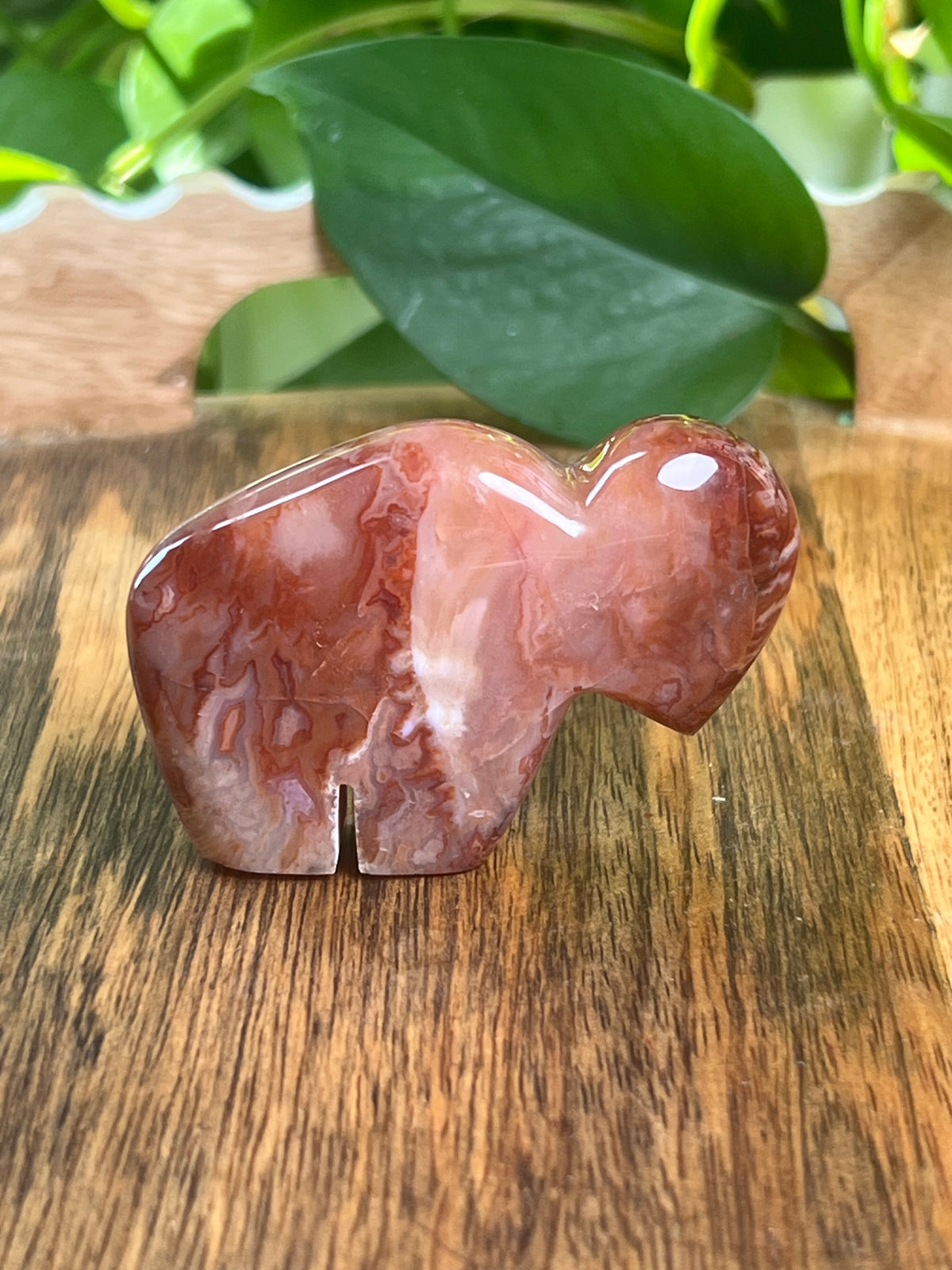 Carnelian Mini Buffalo: BB