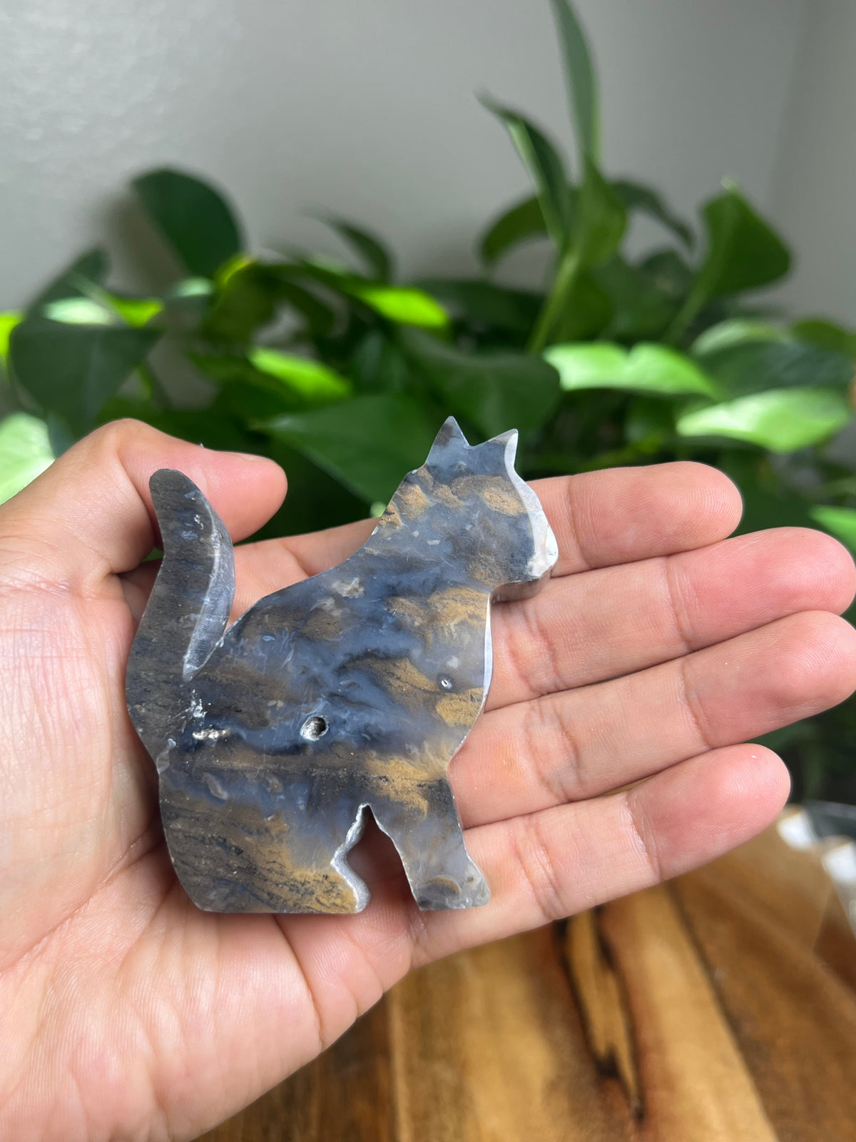 Dendritic Tiger Agate Cat: QB