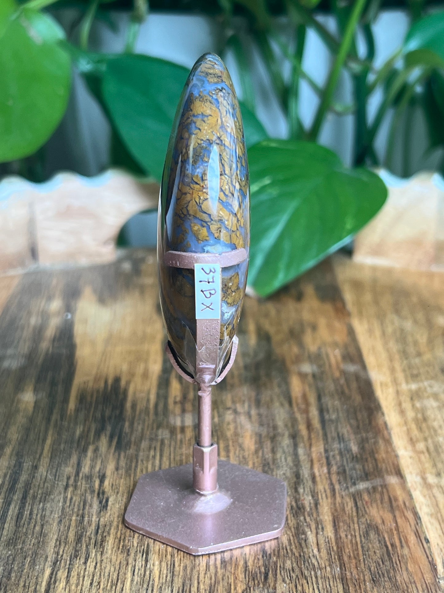Brecciated Jasper Moon: BX