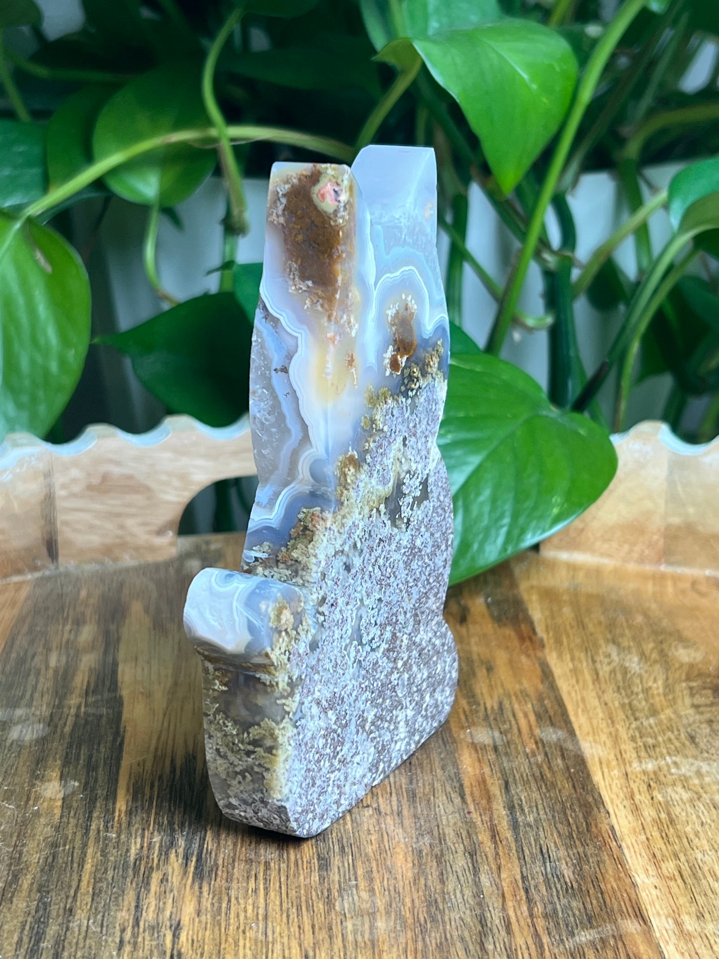 Scenic Moss Agate Cat: AE