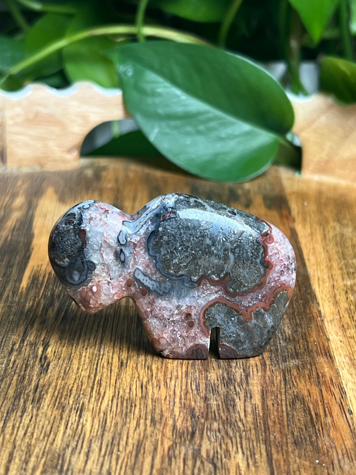 Marcasite Mini Buffalo: ML