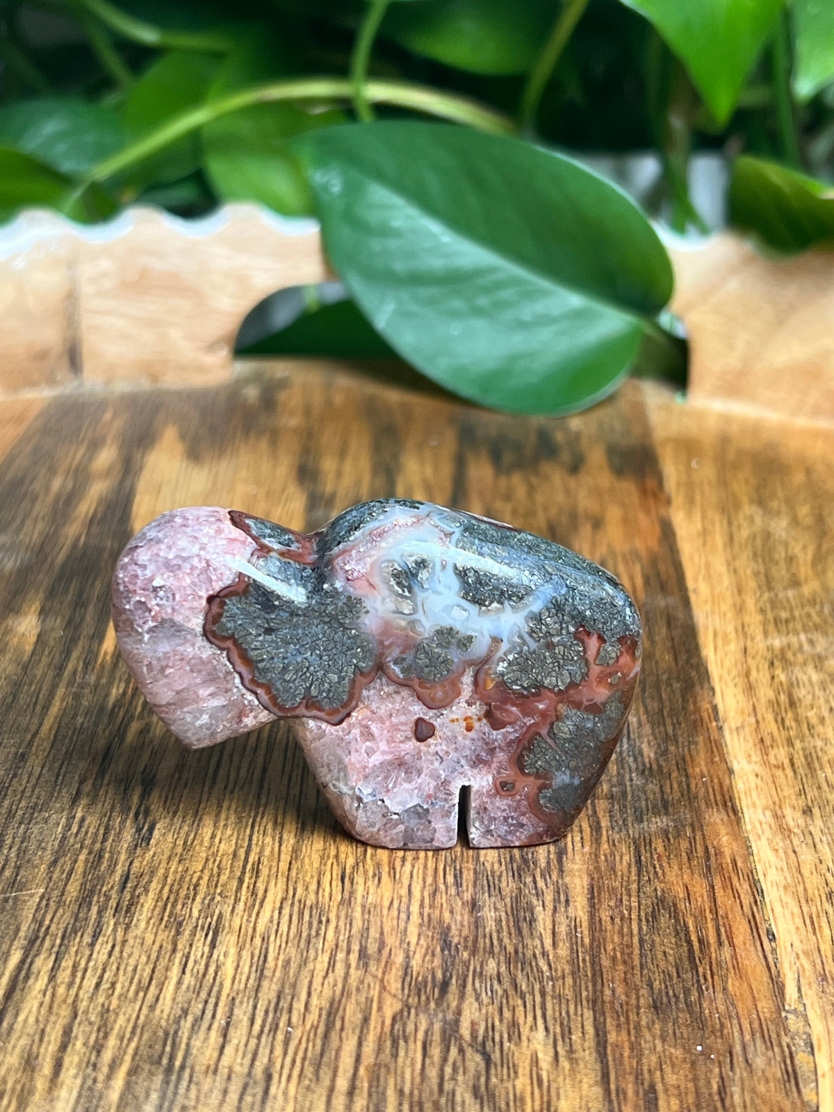Marcasite Mini Buffalo: MR