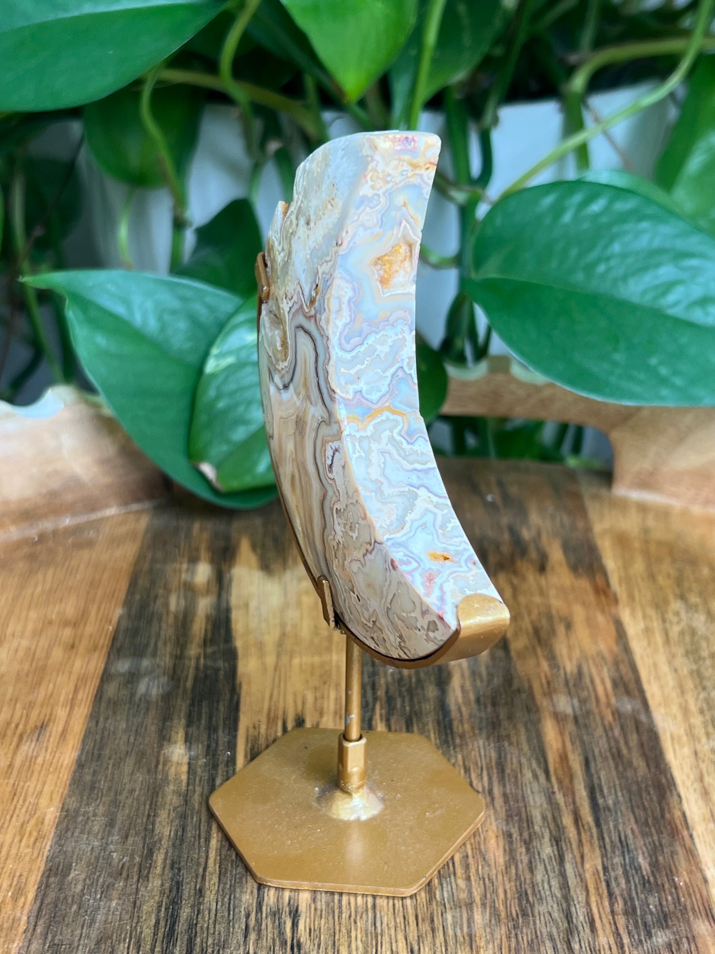 Yellow Crazy Lace Agate Moon: DB