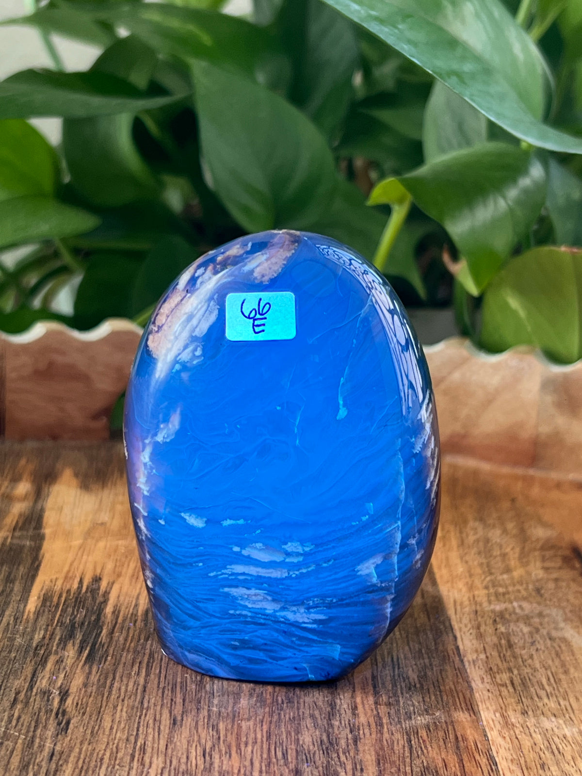 Blue Amber Freeform: E