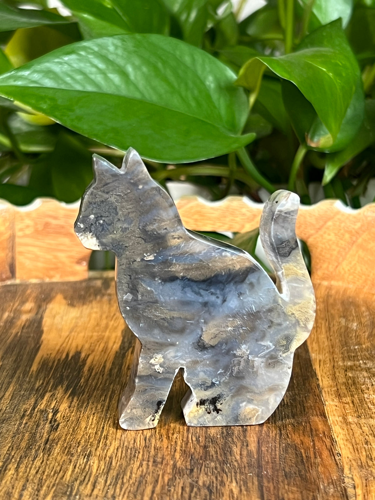 Dendritic Tiger Agate Cats