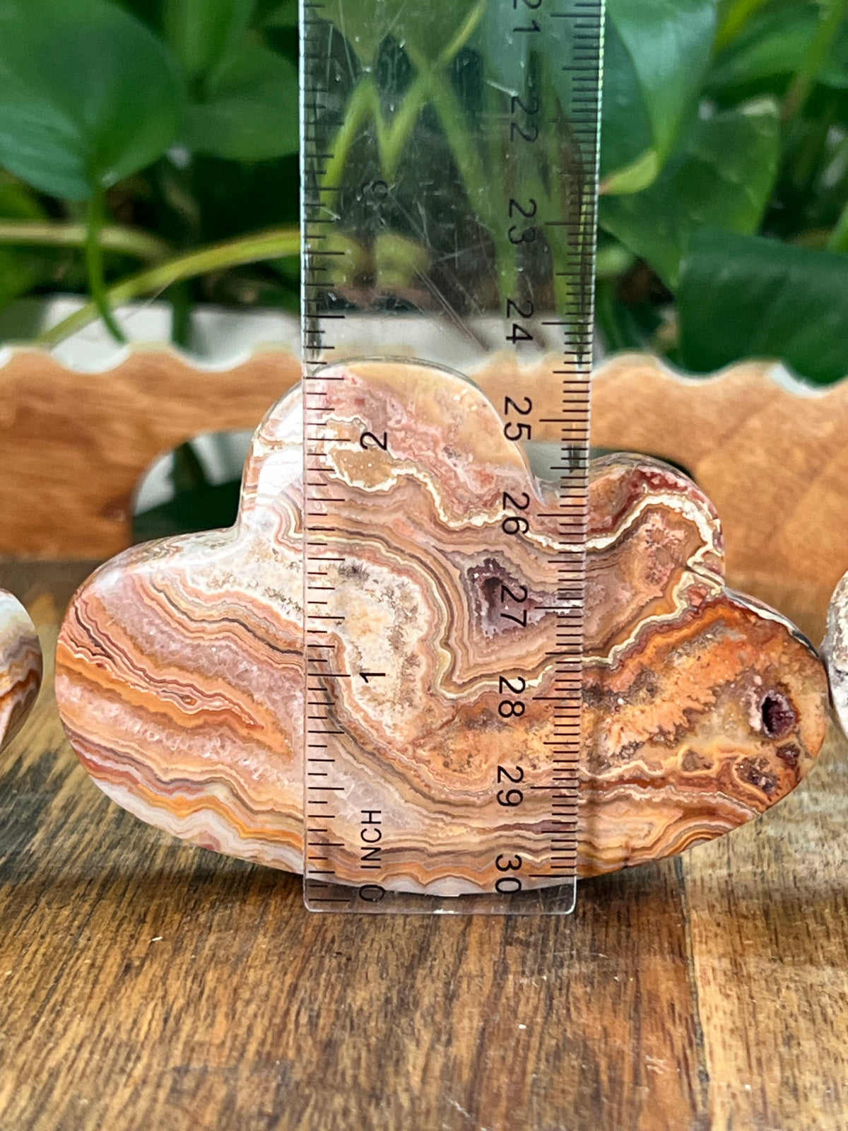 Crazy Lace Agate Self Standing Clouds