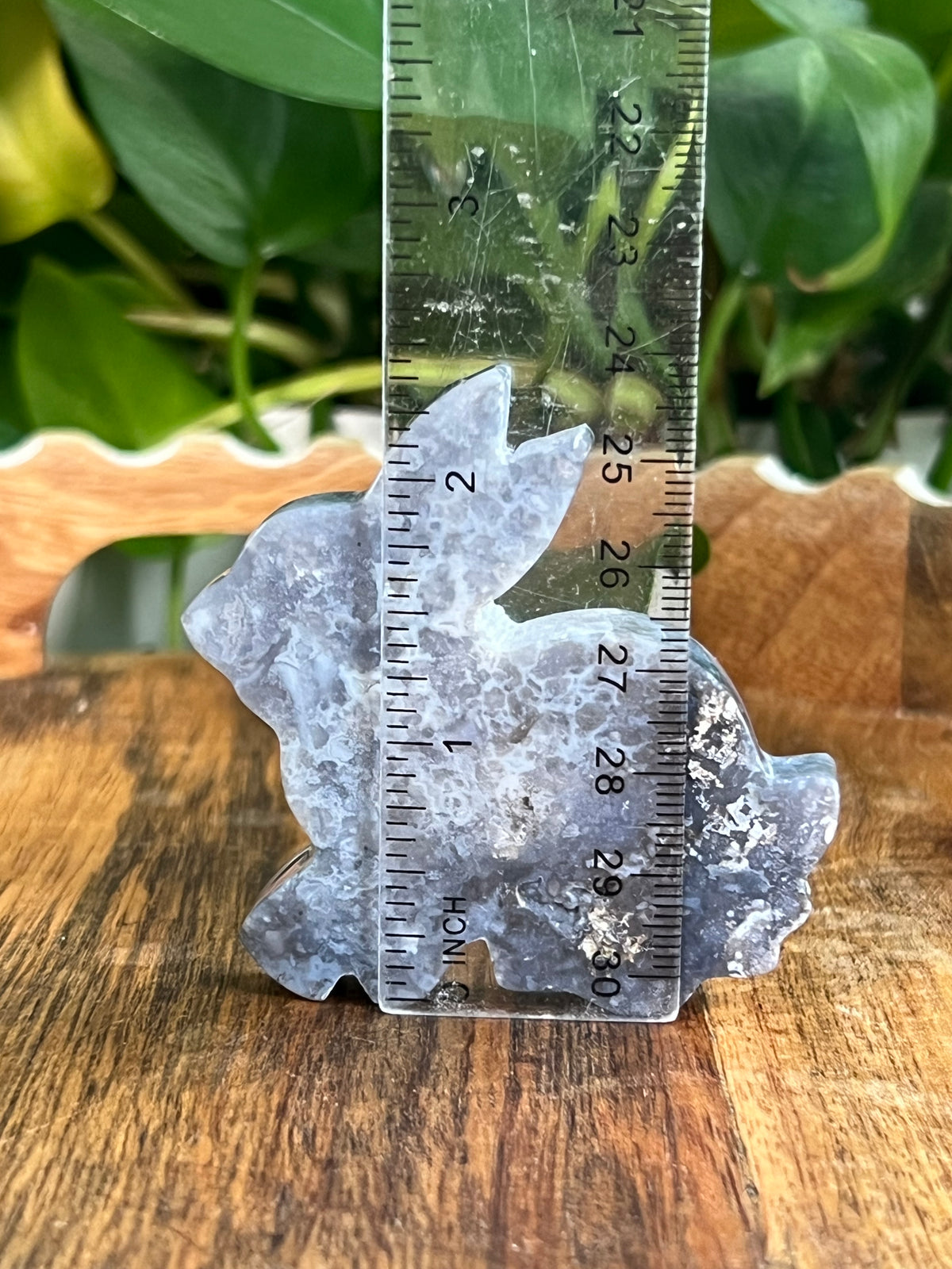 Blue Plume Agate Bunnies