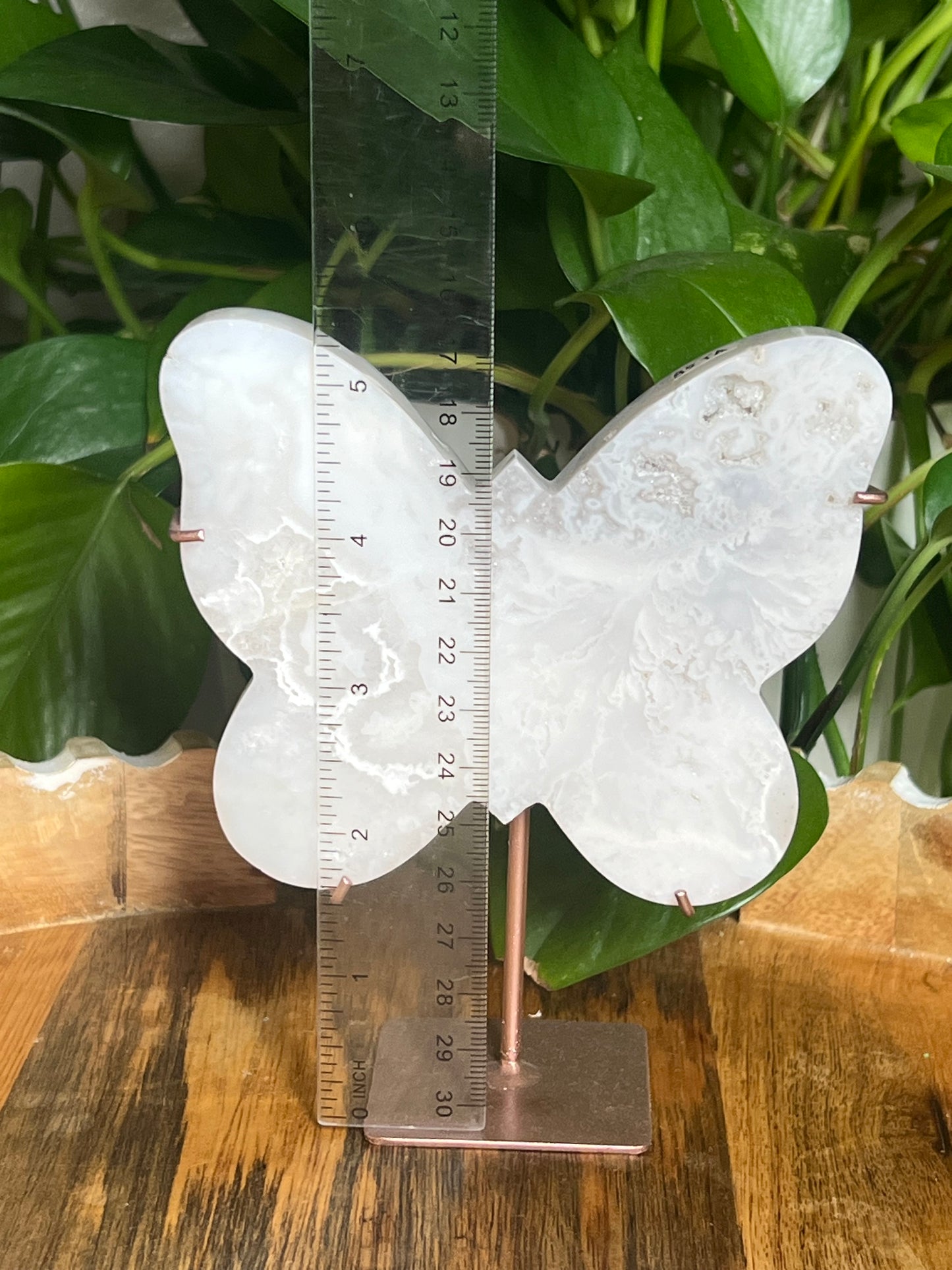 White Plume Agate Butterfly: TA
