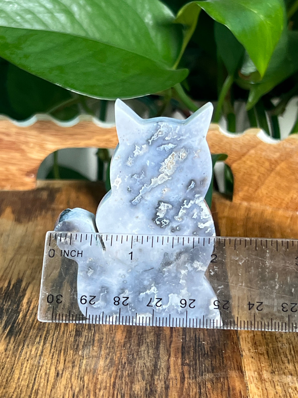 Blue Plume Agate Cats