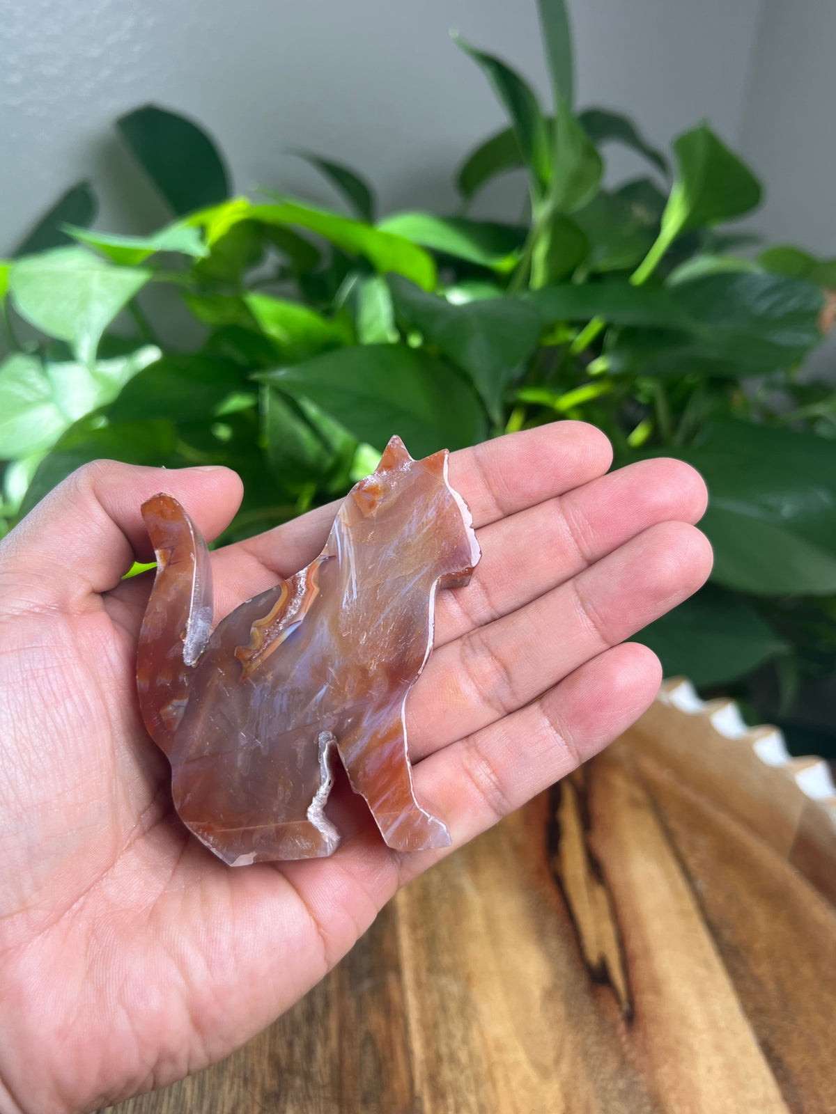 Carnelian Cat: PK