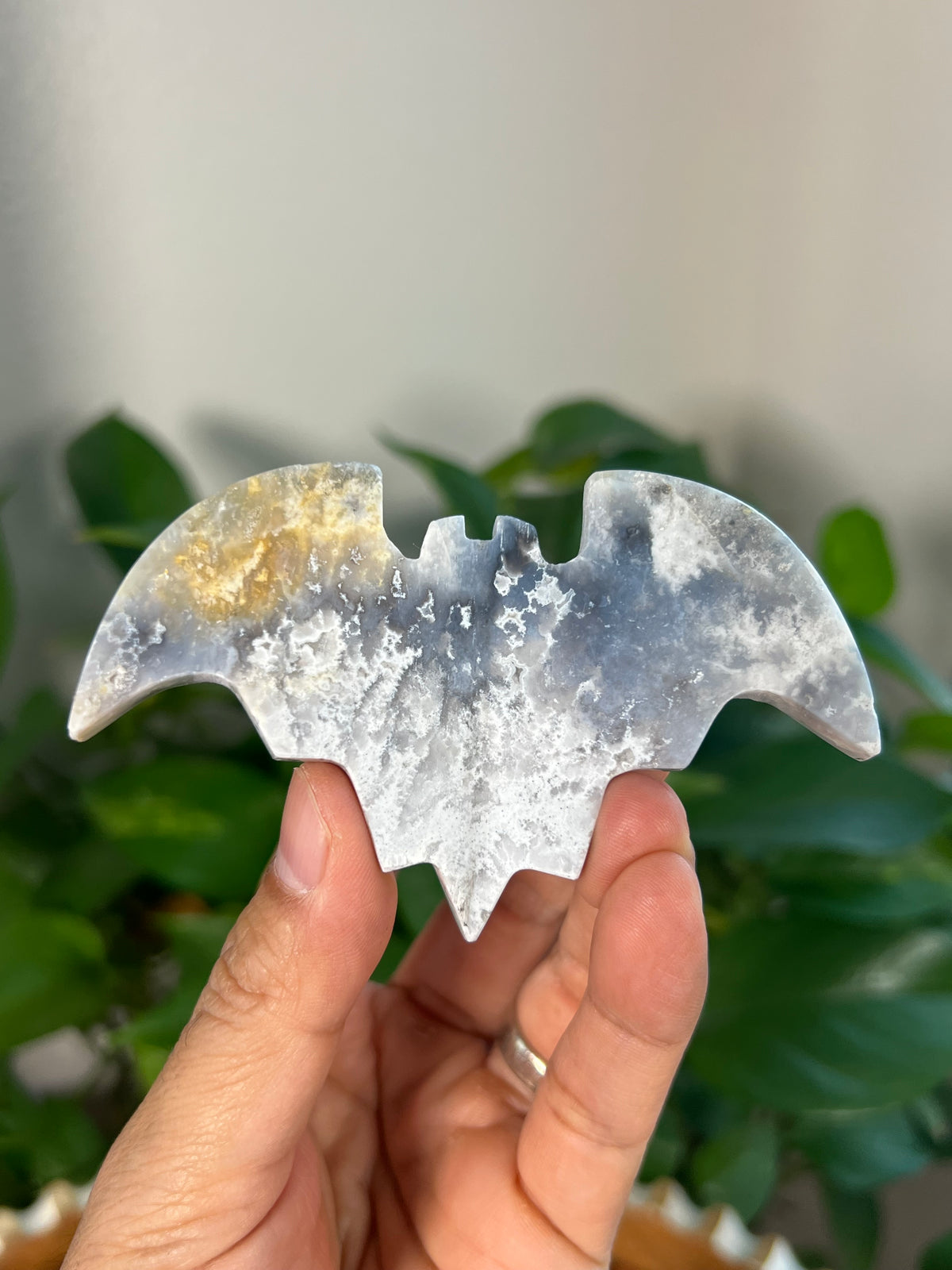 Blue Plume Agate 3D Bats
