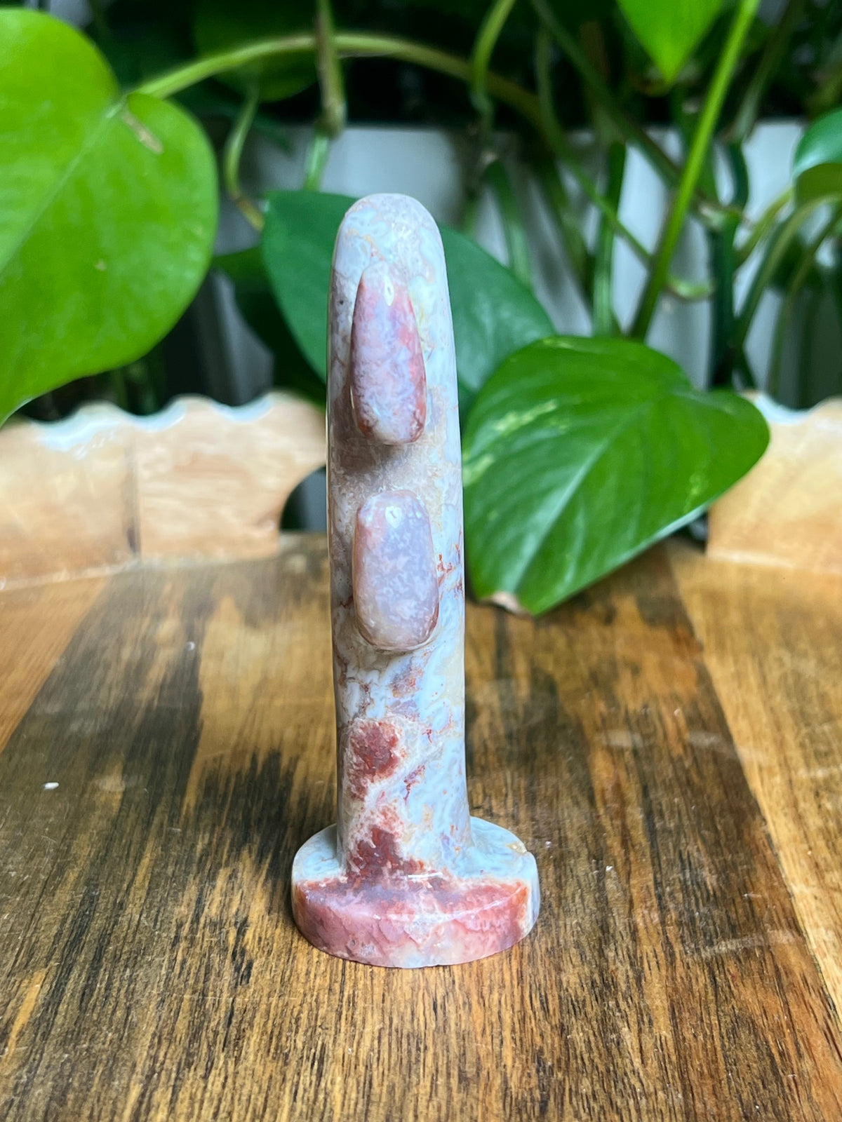 Sumatra Plume Agate Cactus: P