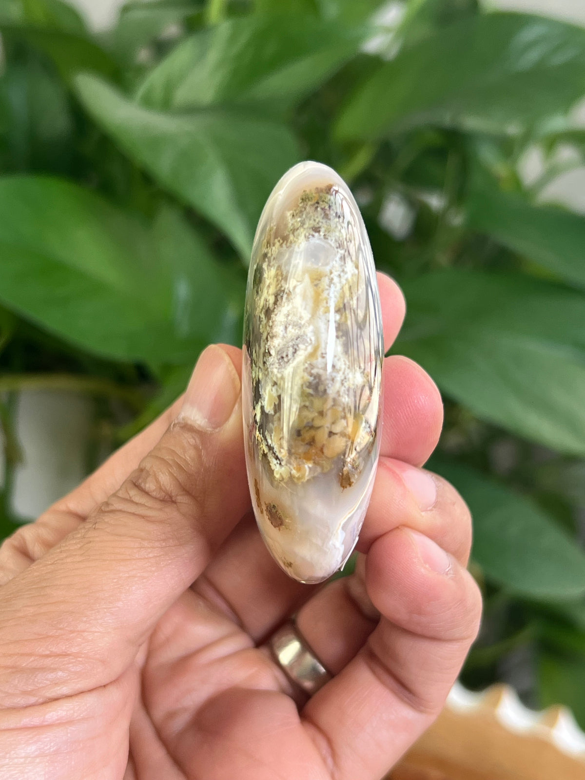 Scenic Moss Agate Palmstone: Bi